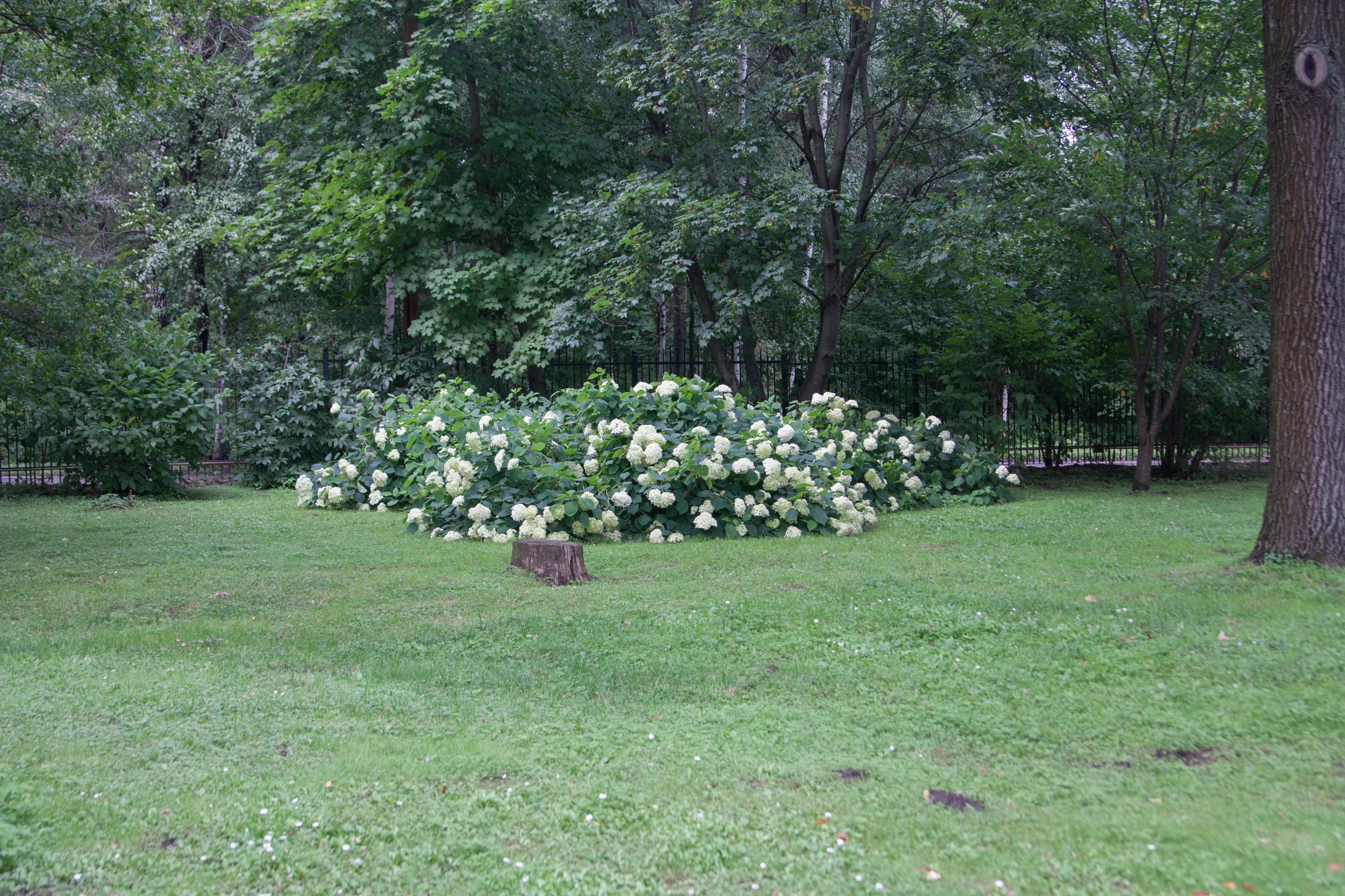 2015-0747