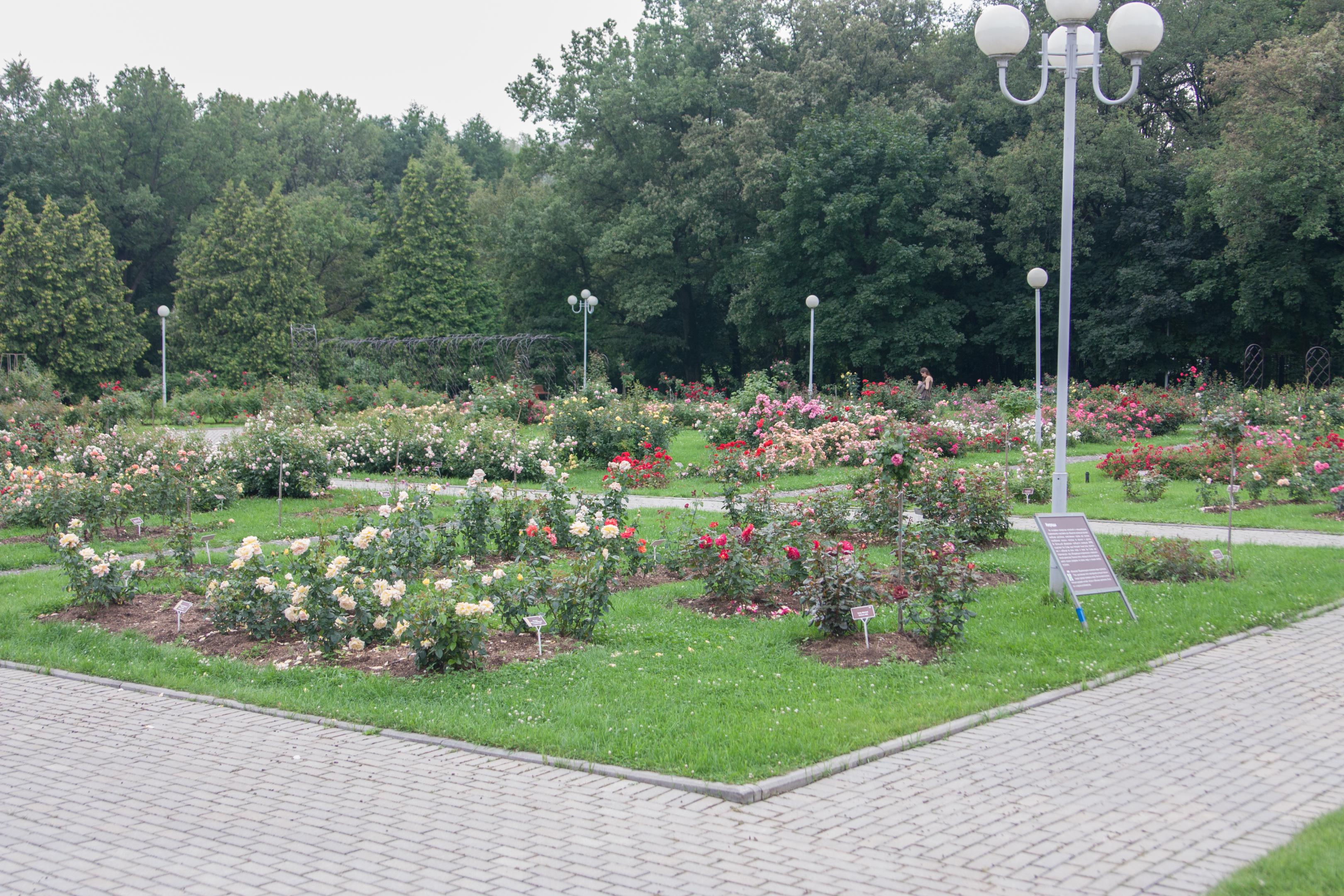 2015-0800