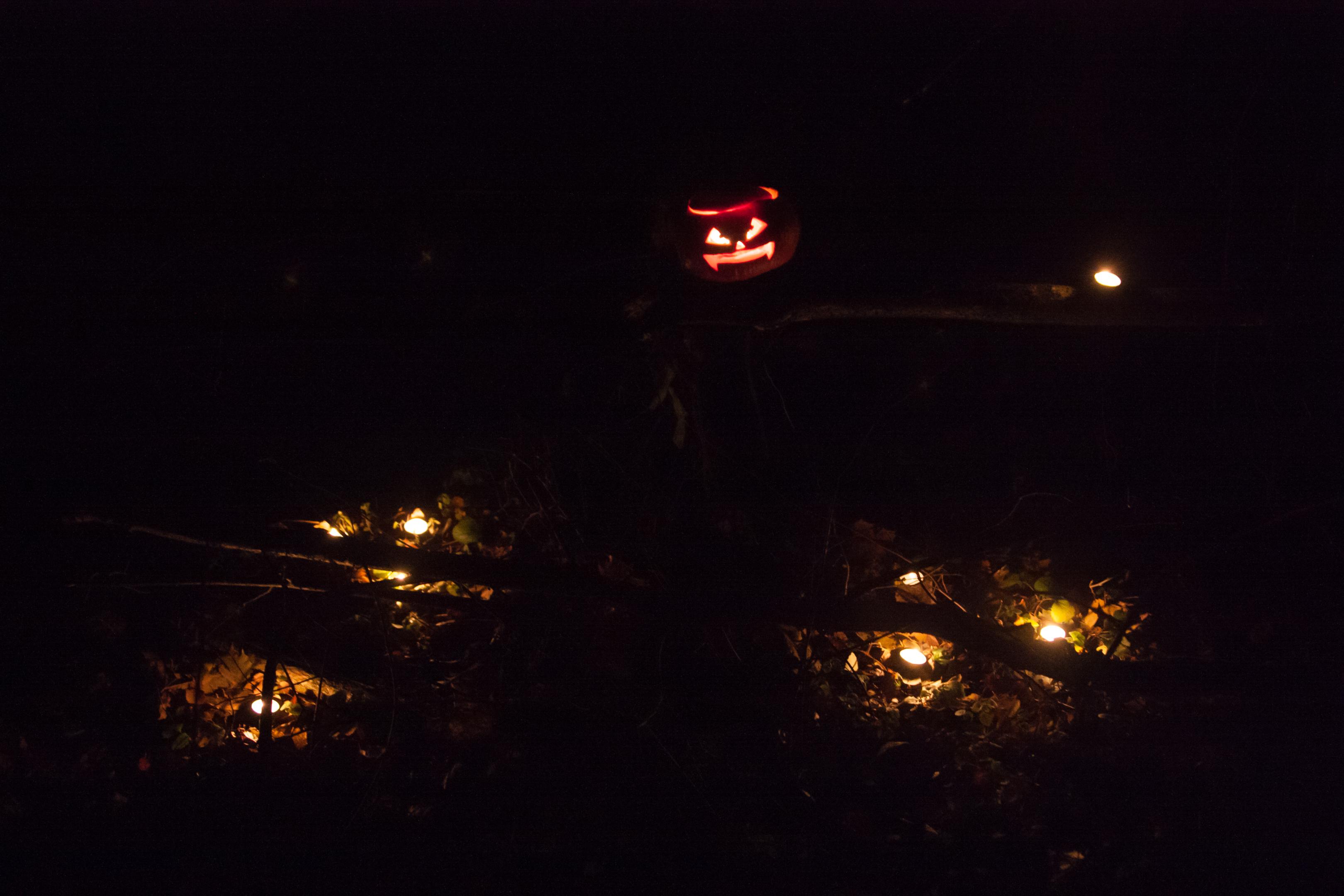 2015-1176
