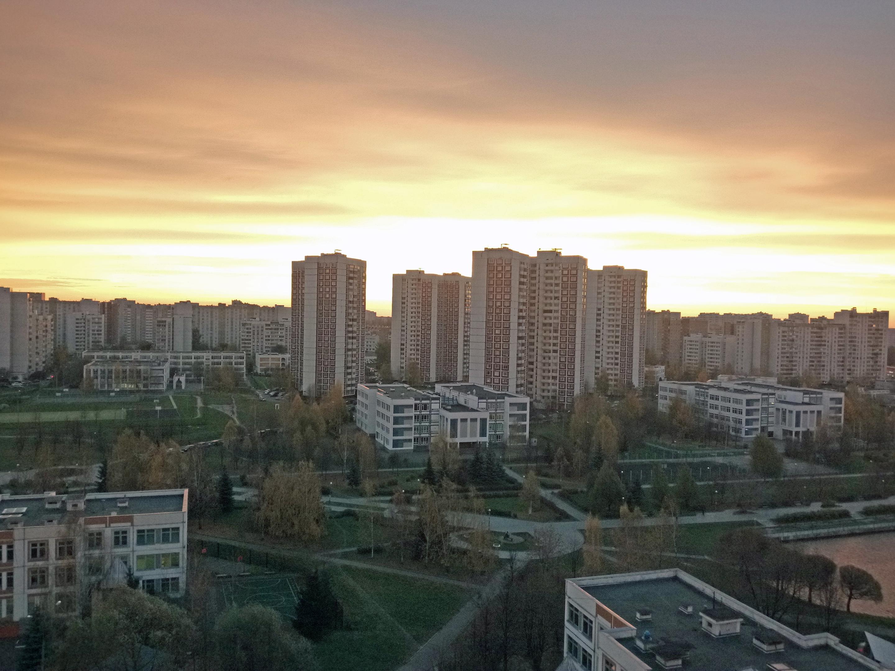 2016-1229