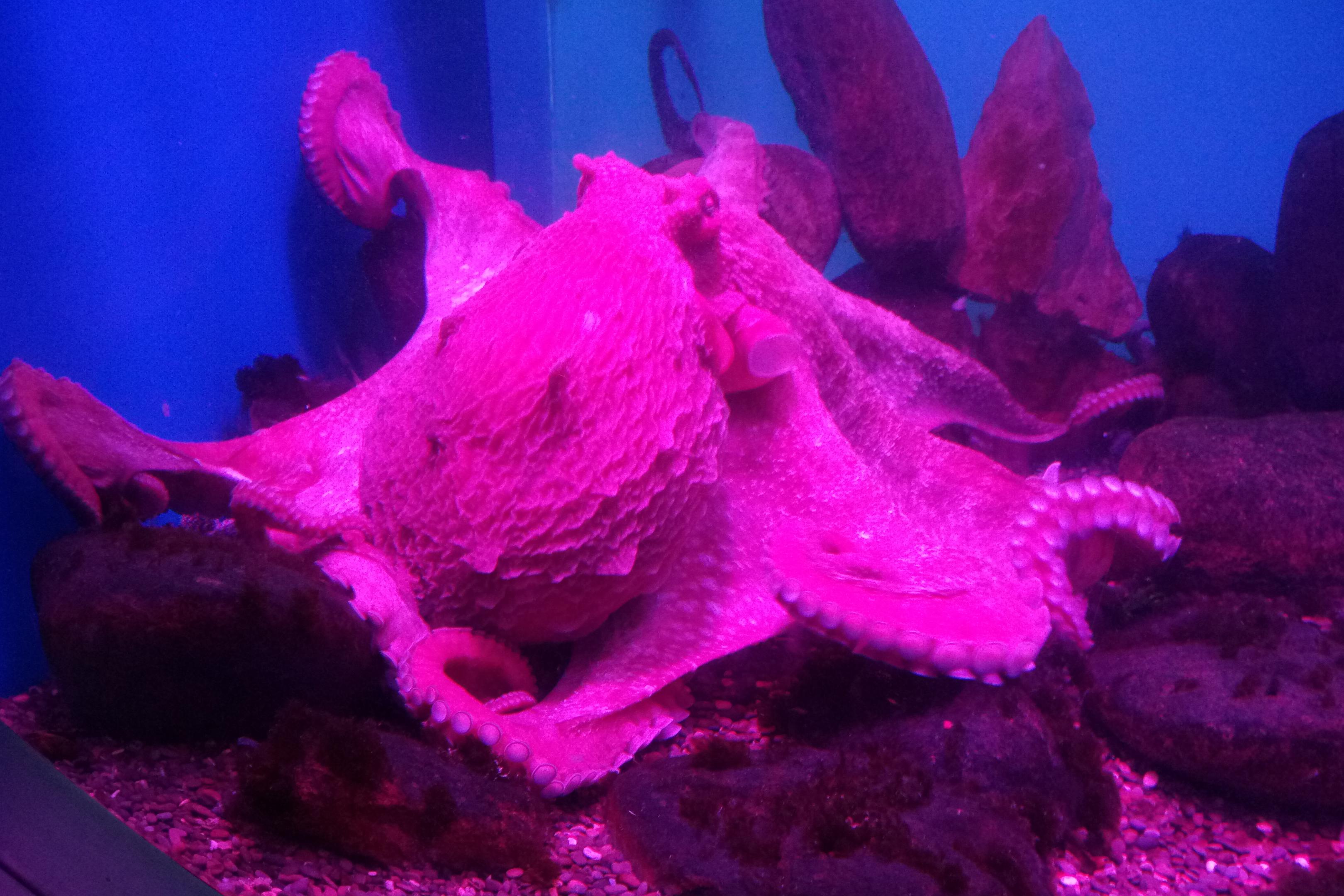 2017-0546