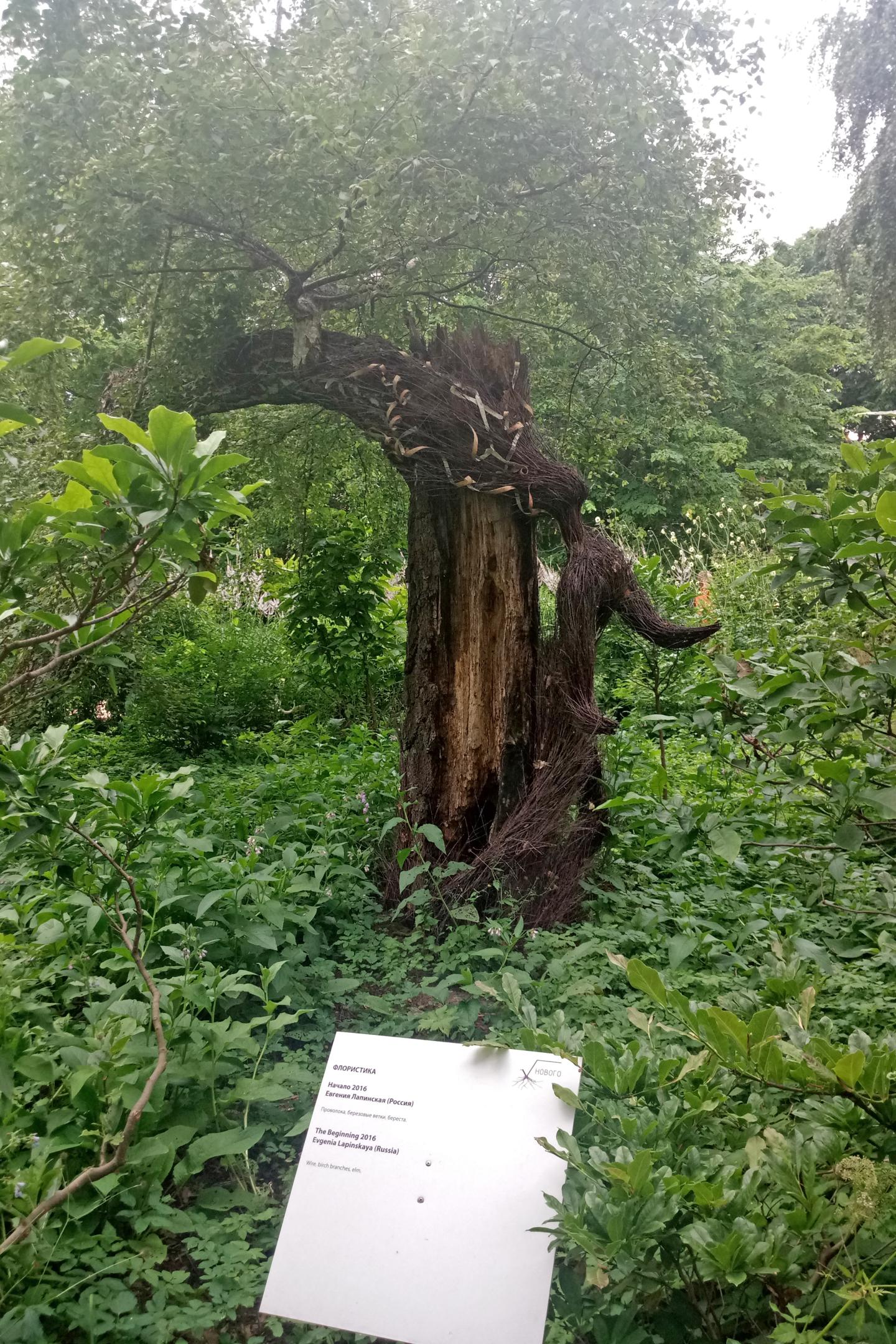 2017-0641