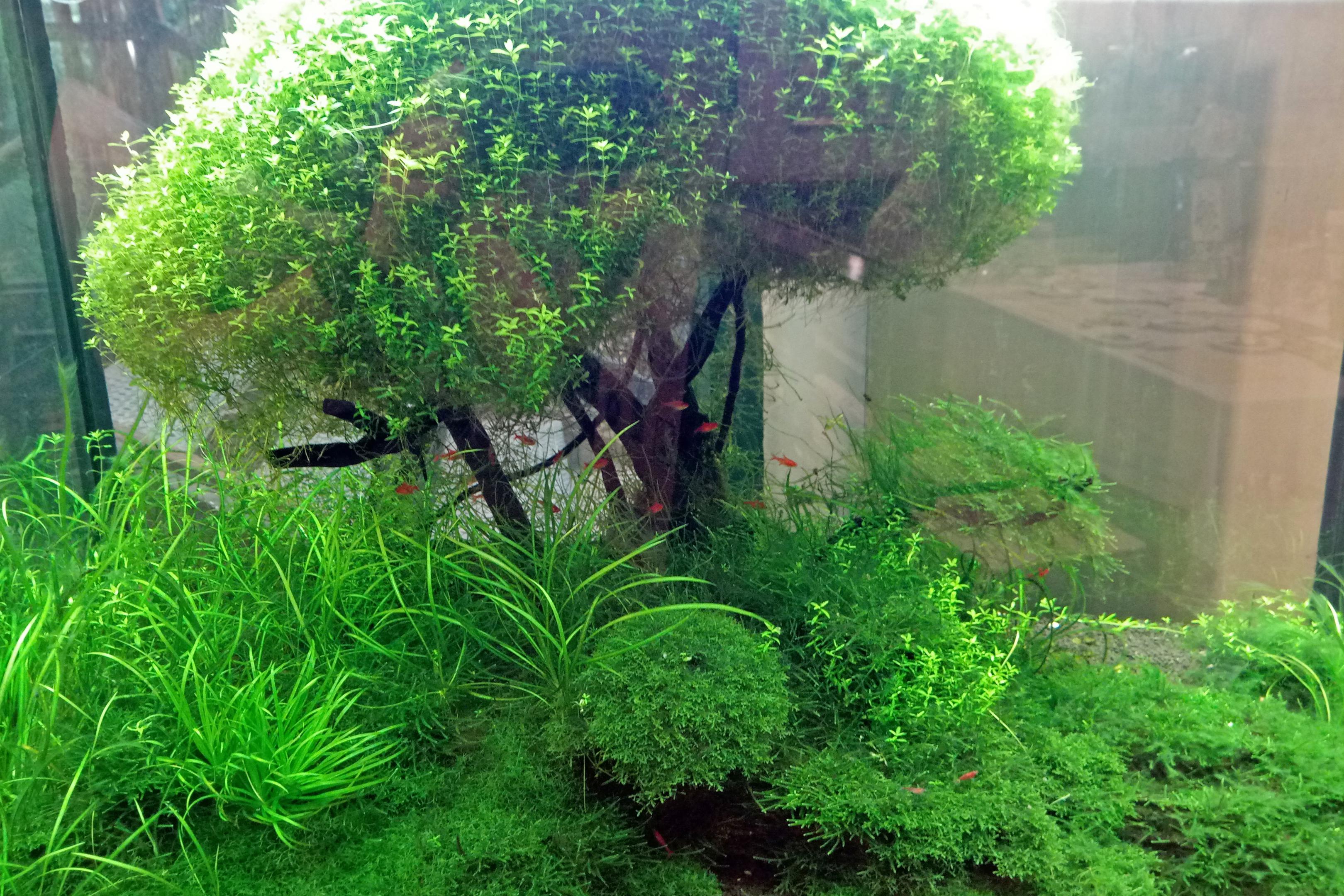 2017-0669