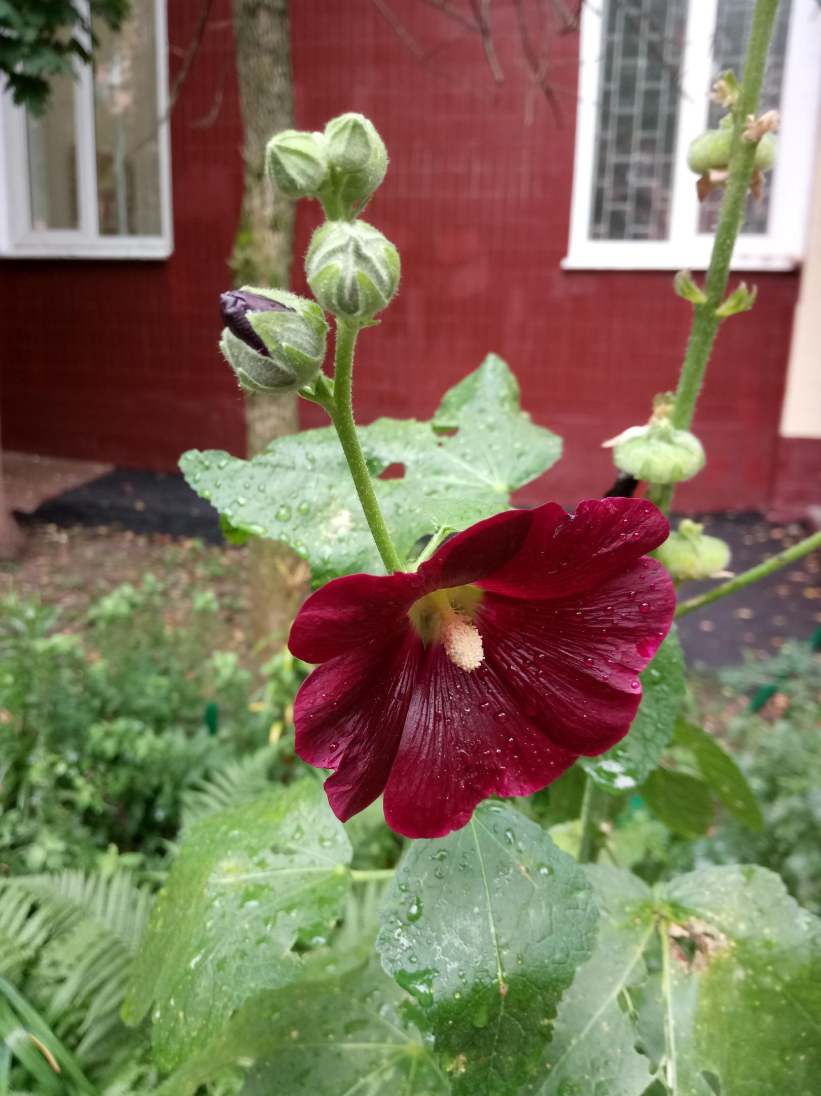 2017-0872