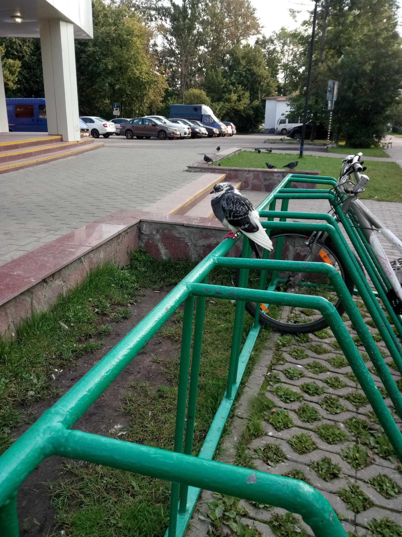 2017-0939