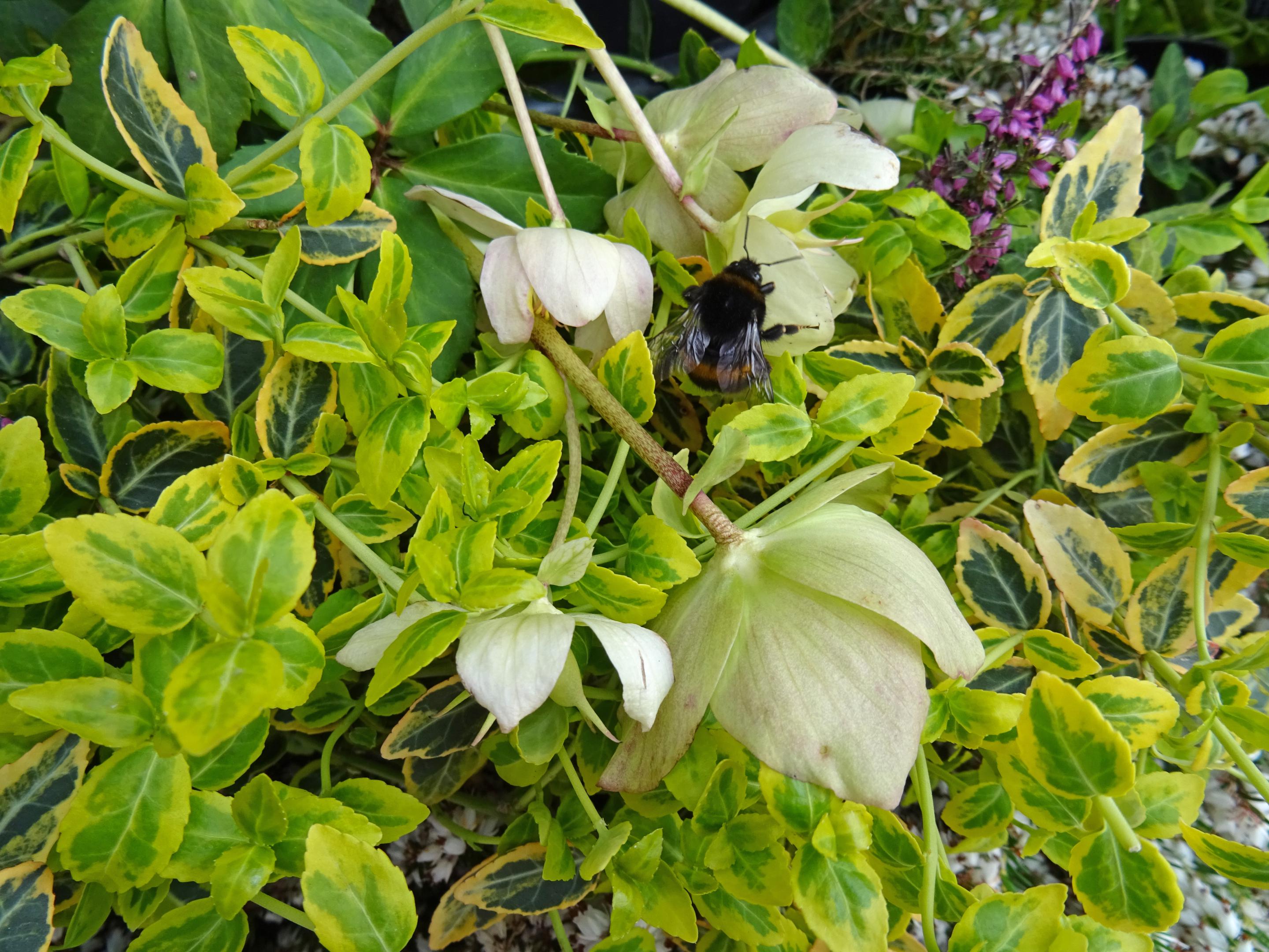 2018-0209