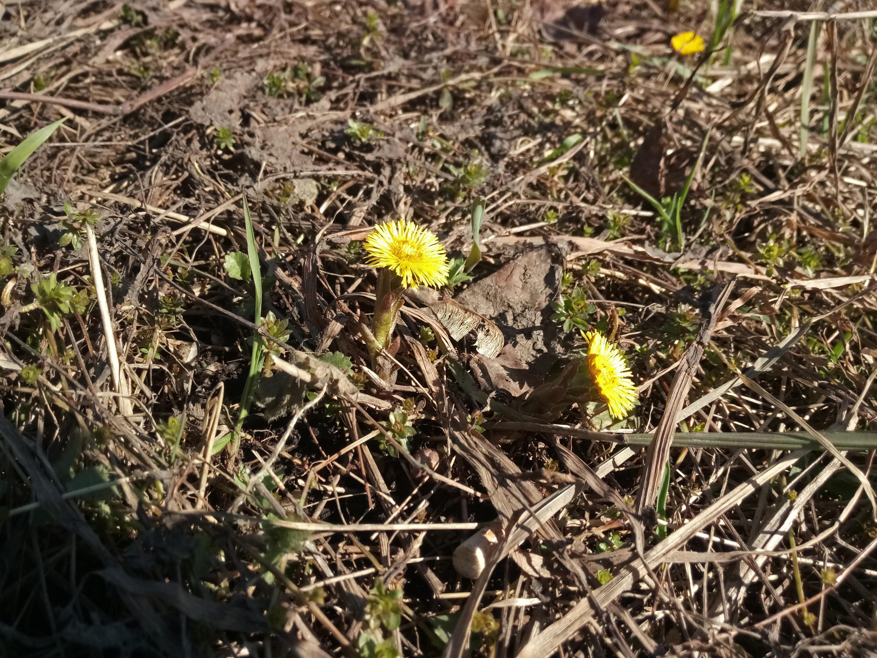 2018-0241