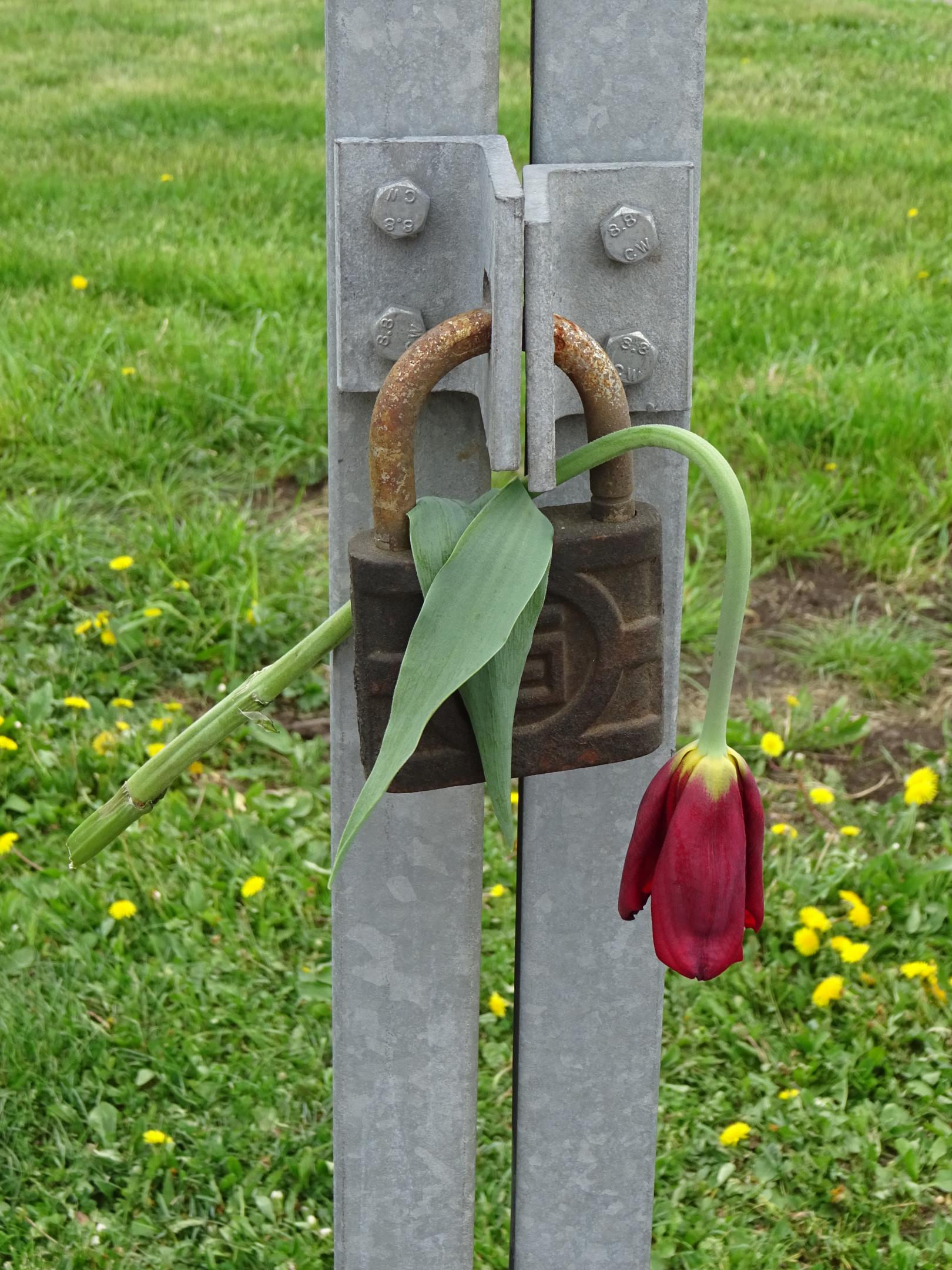 2018-0377