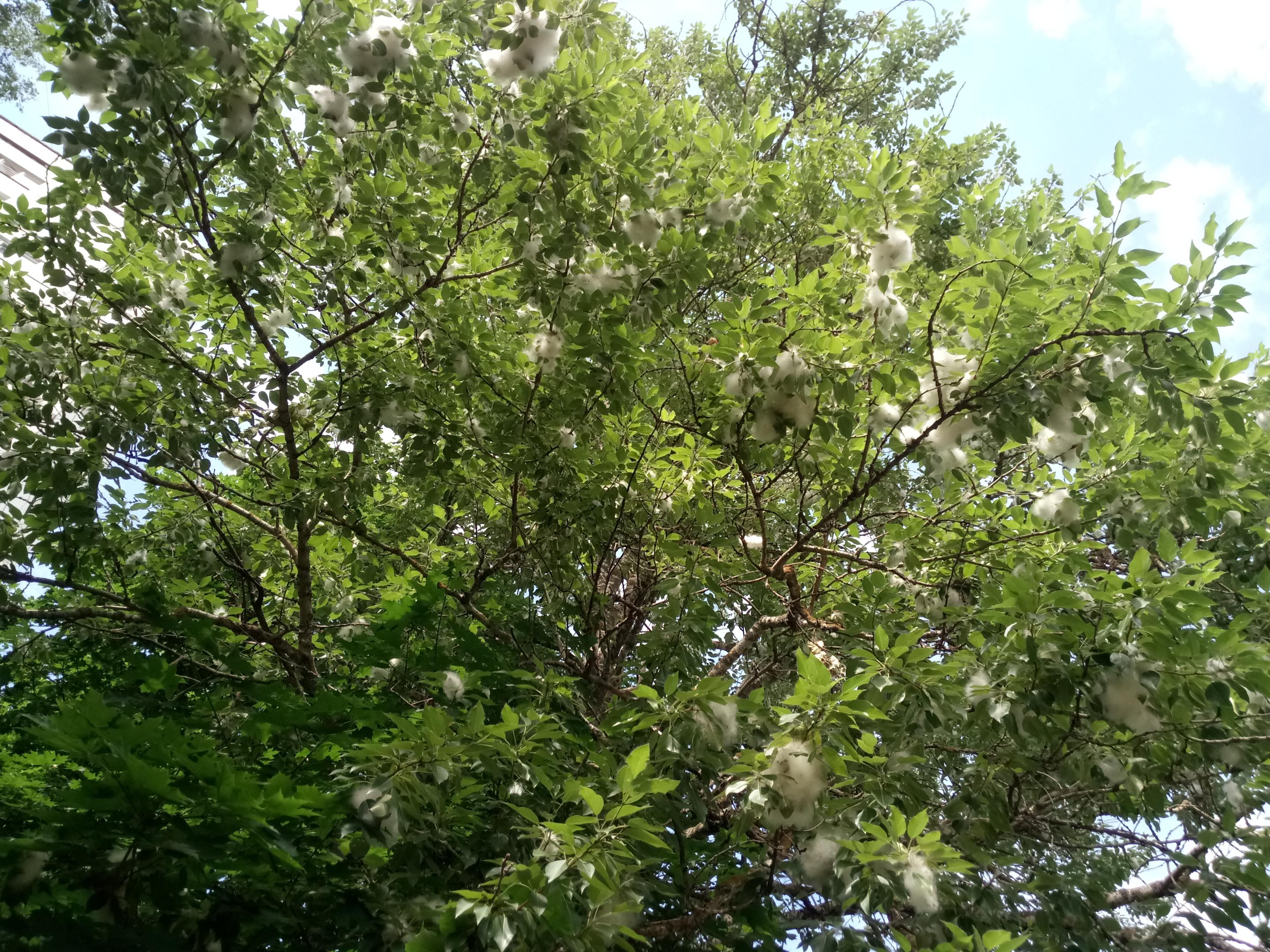 2018-0455