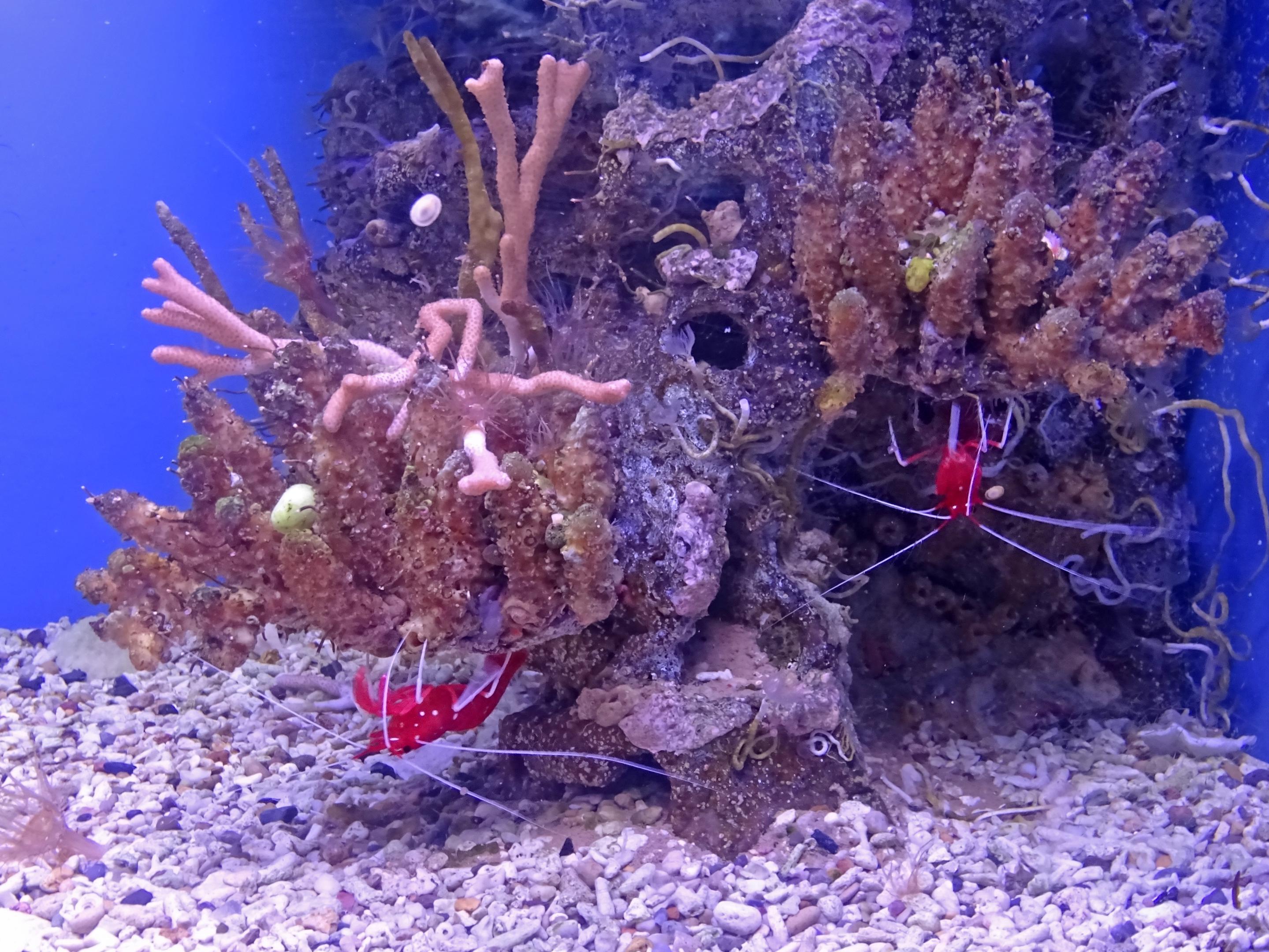 2018-0705