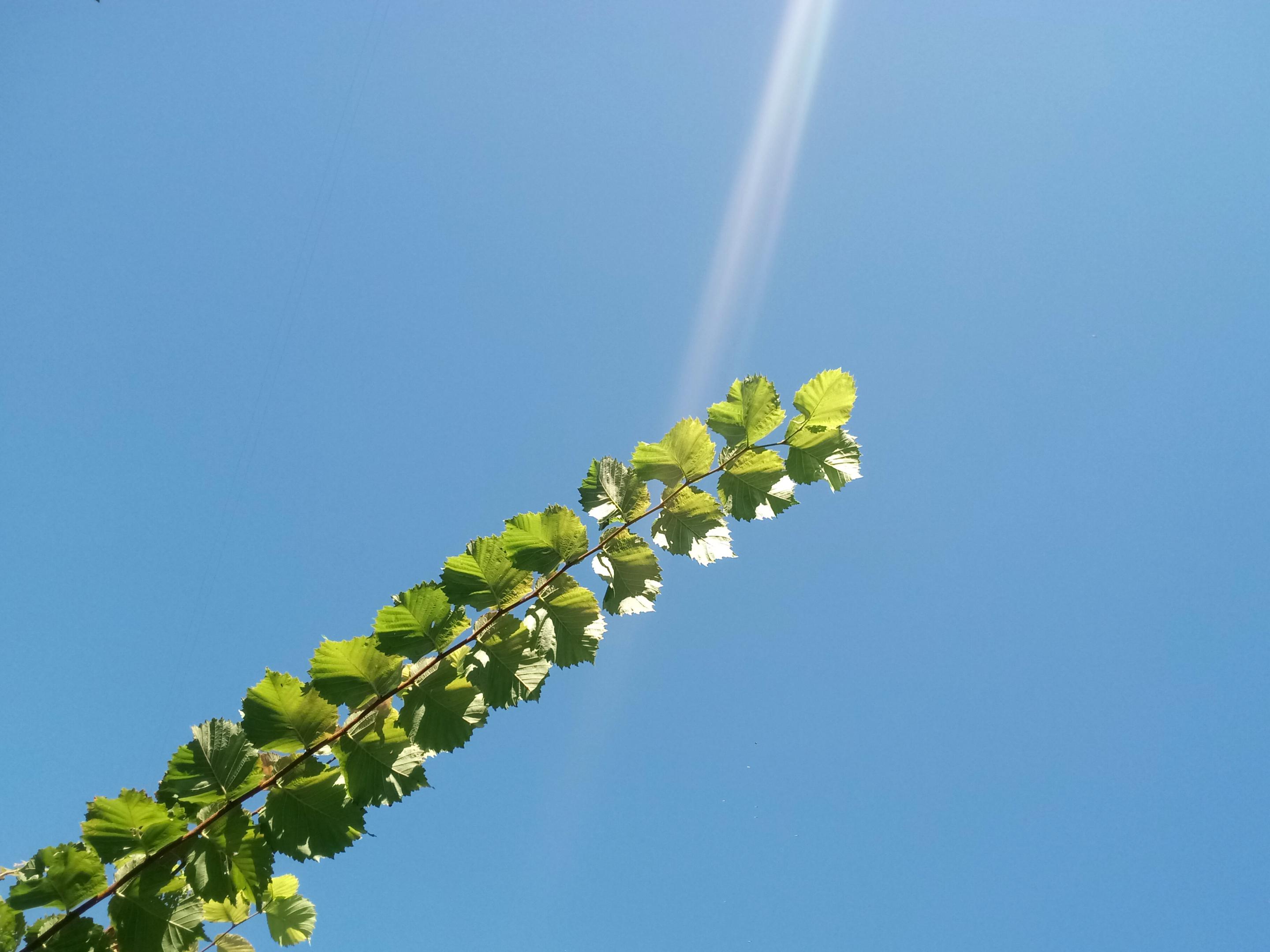 2018-1101