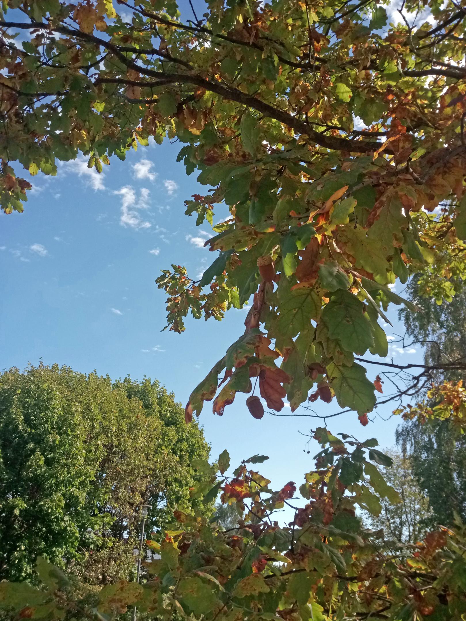 2018-1108