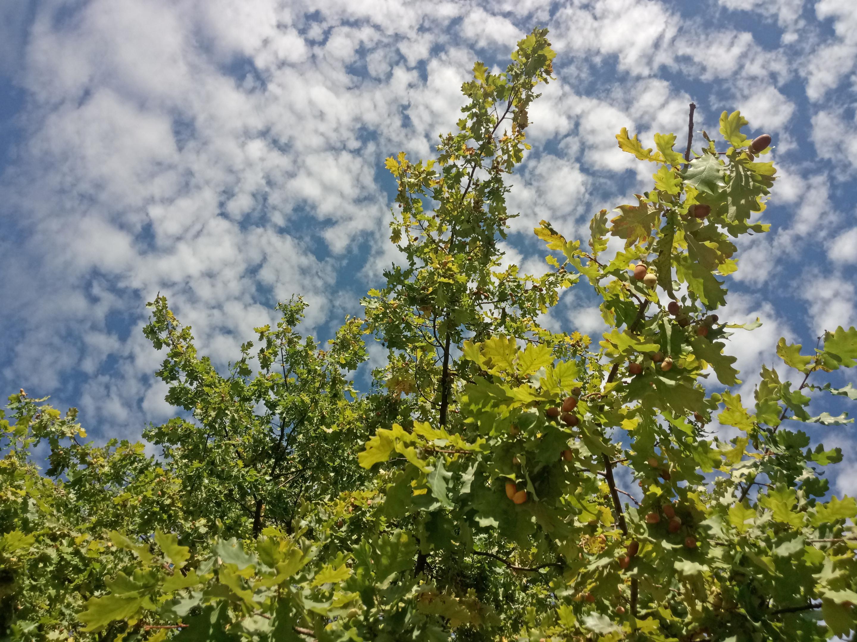 2018-1112