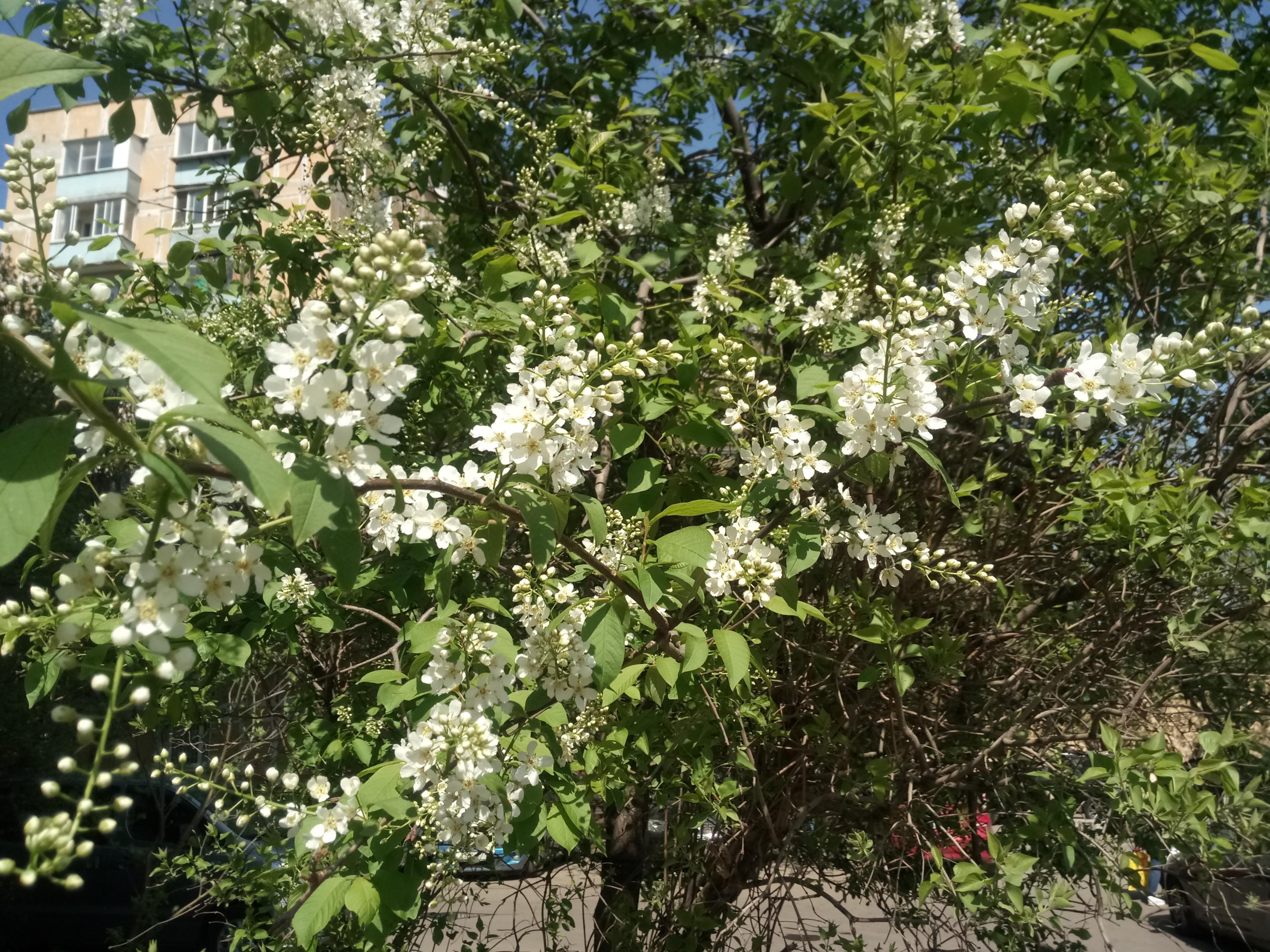 2019-0528