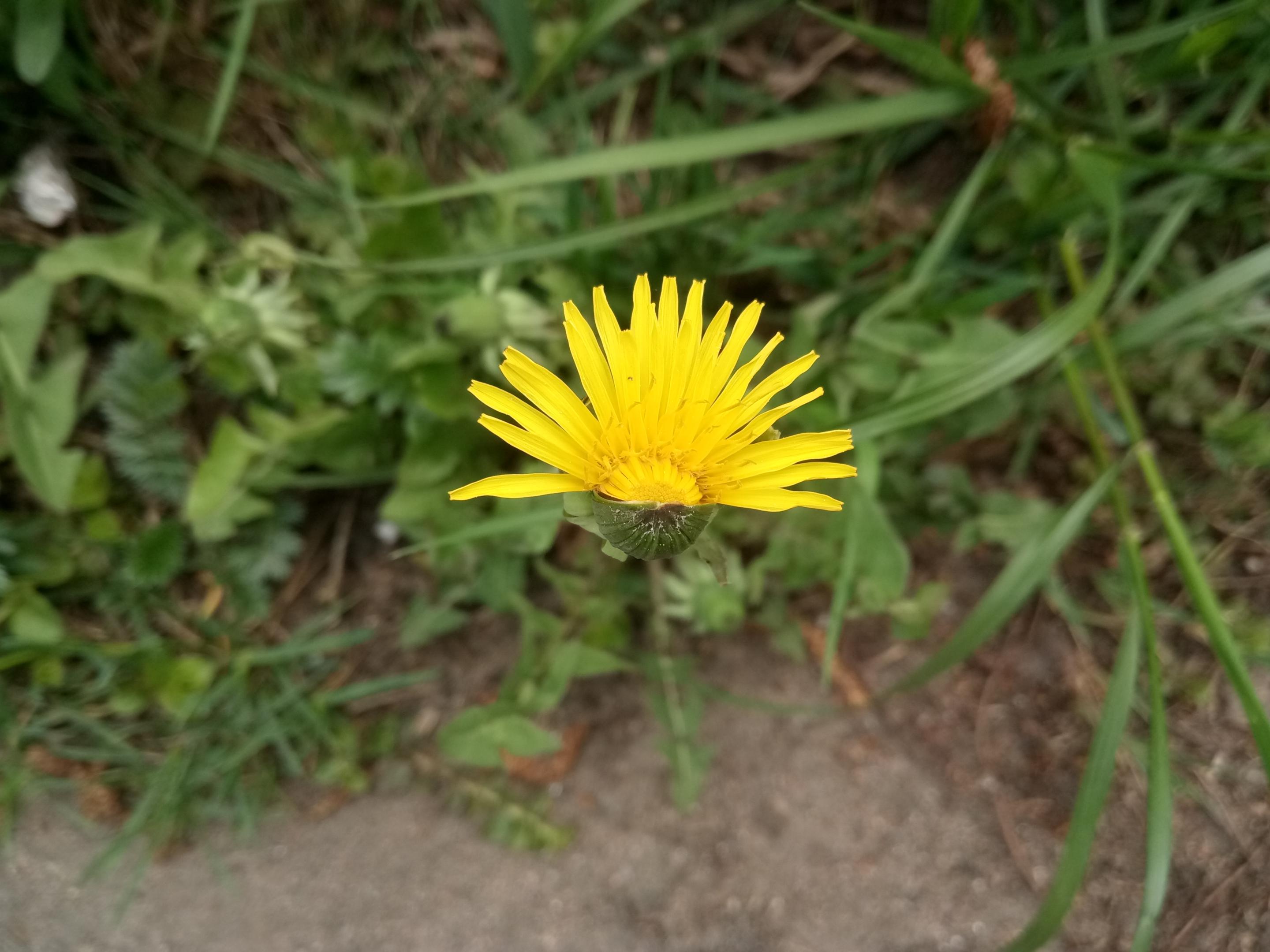 2019-0579