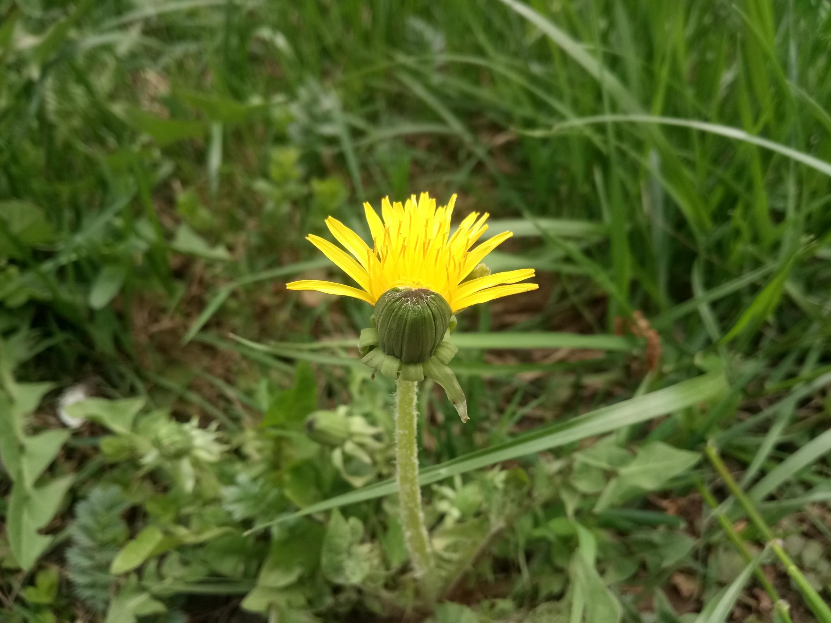 2019-0580