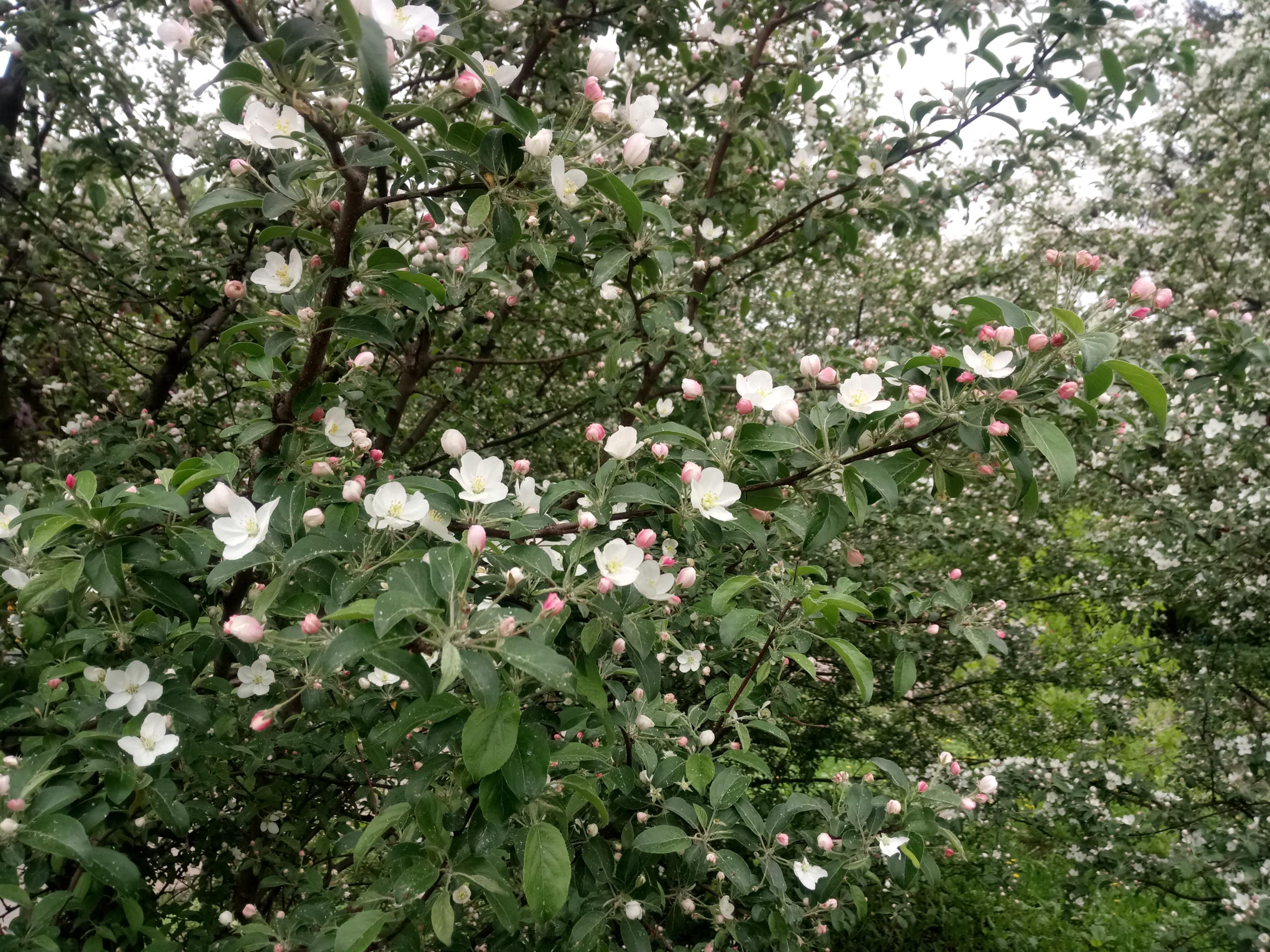 2019-0588