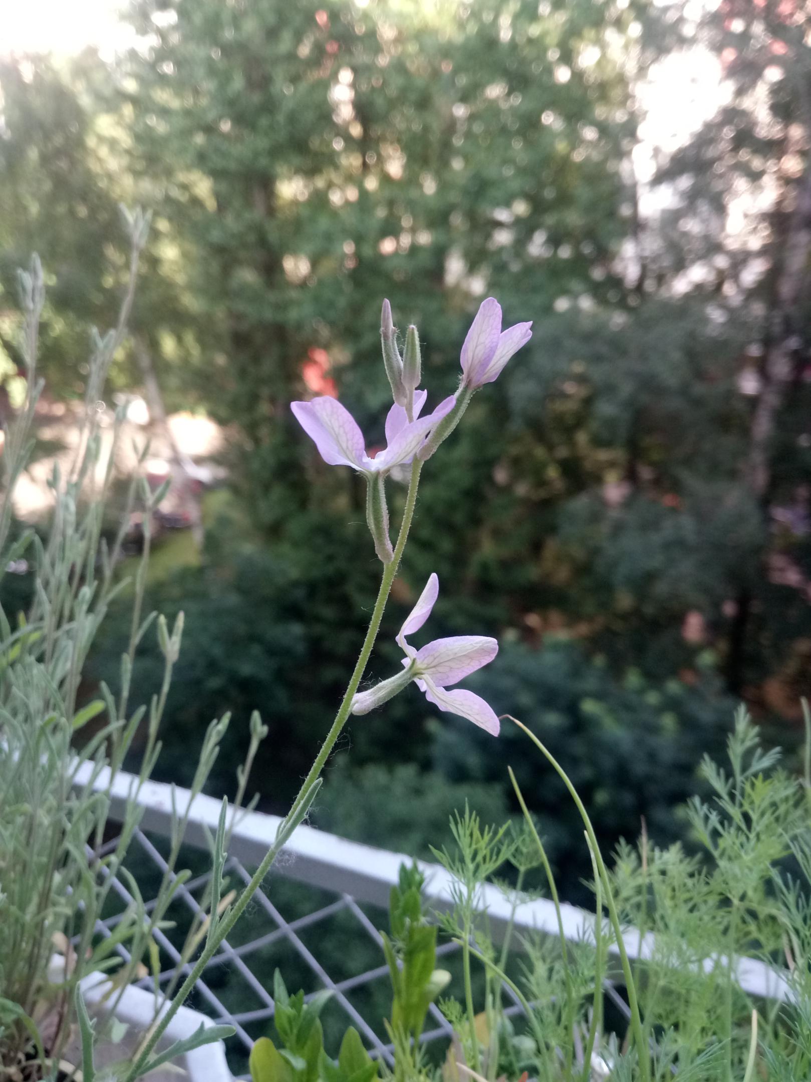 2019-0605