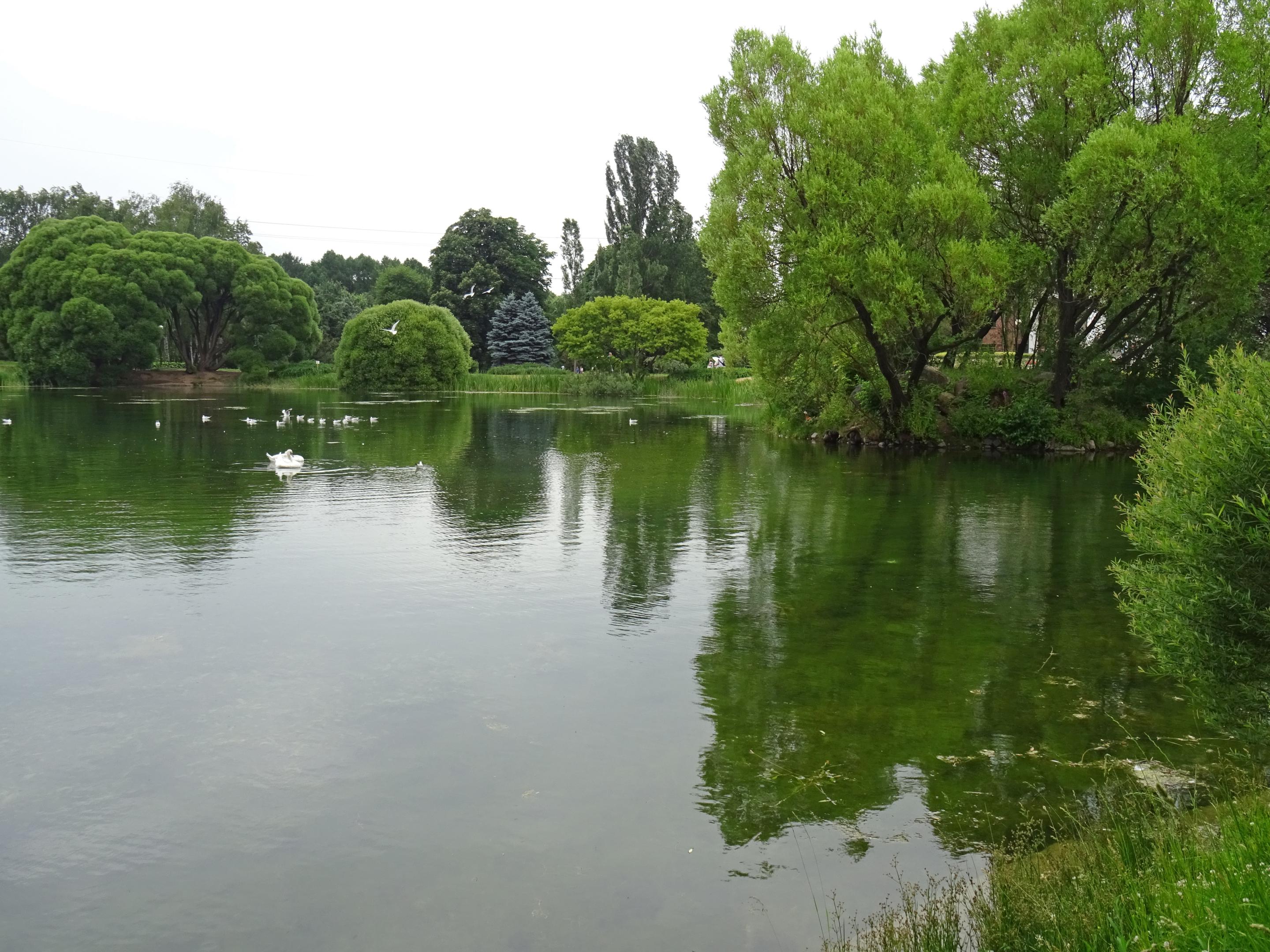 2019-0663