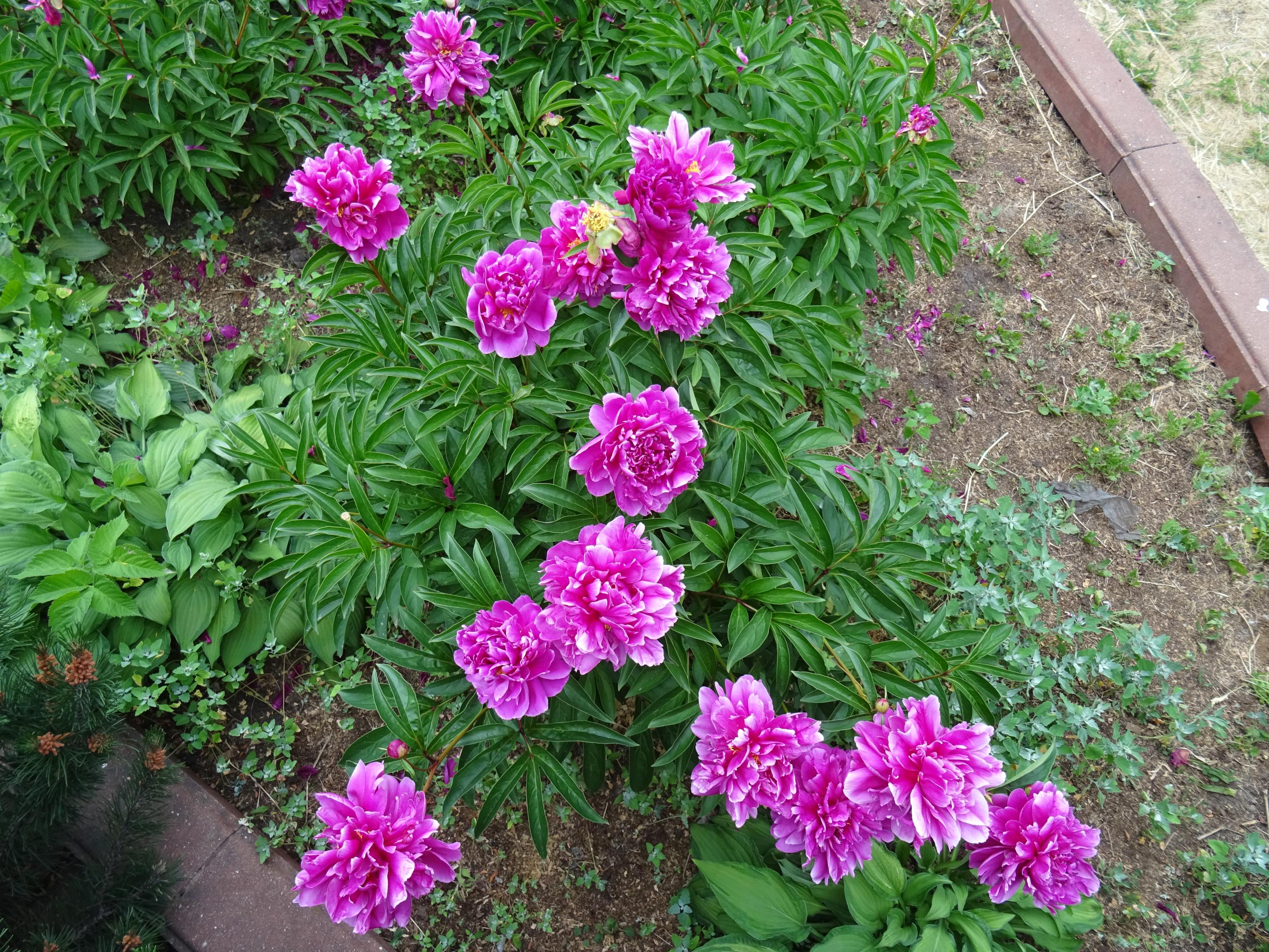 2019-0668
