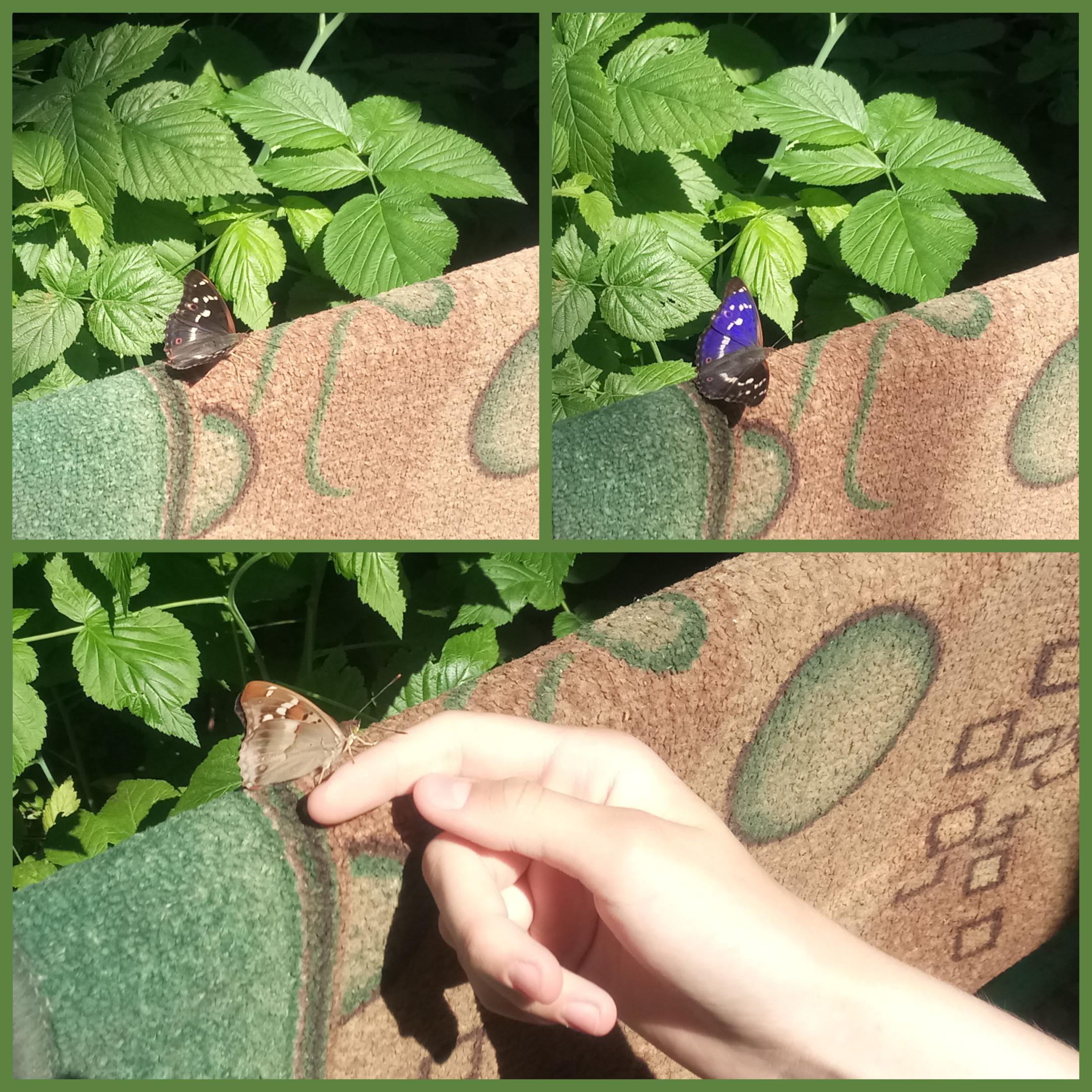 2019-0707