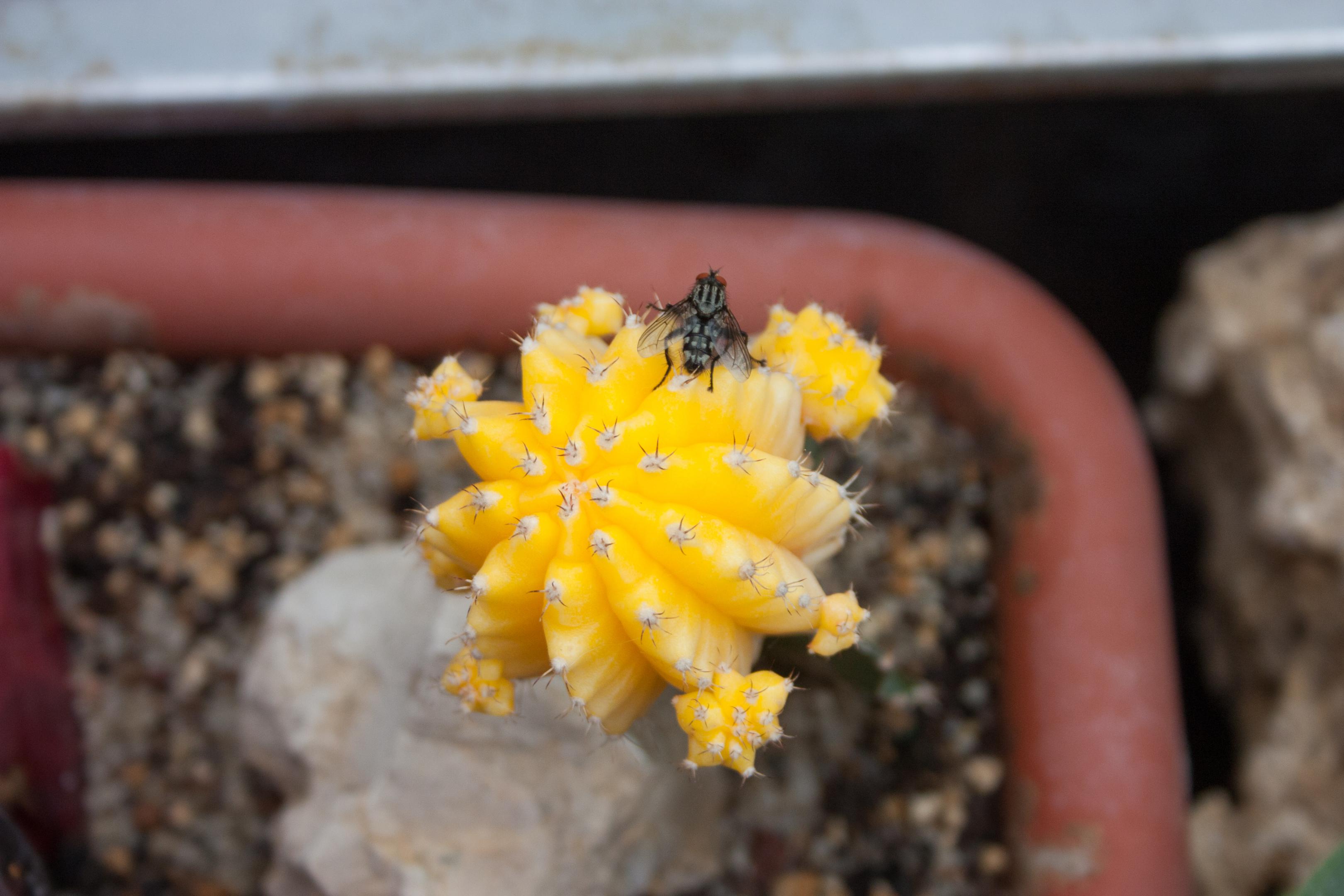 2019-0772