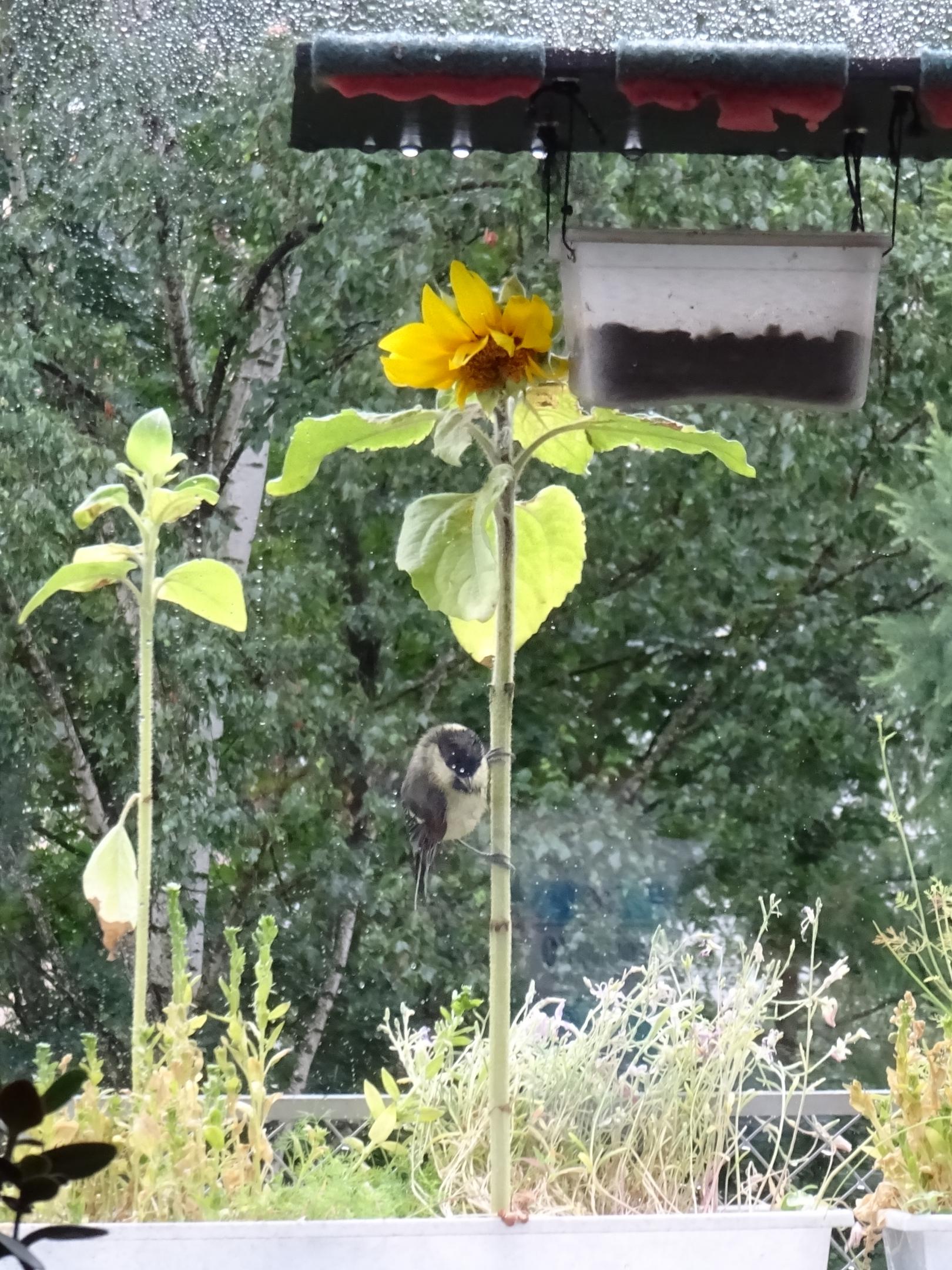 2019-0820