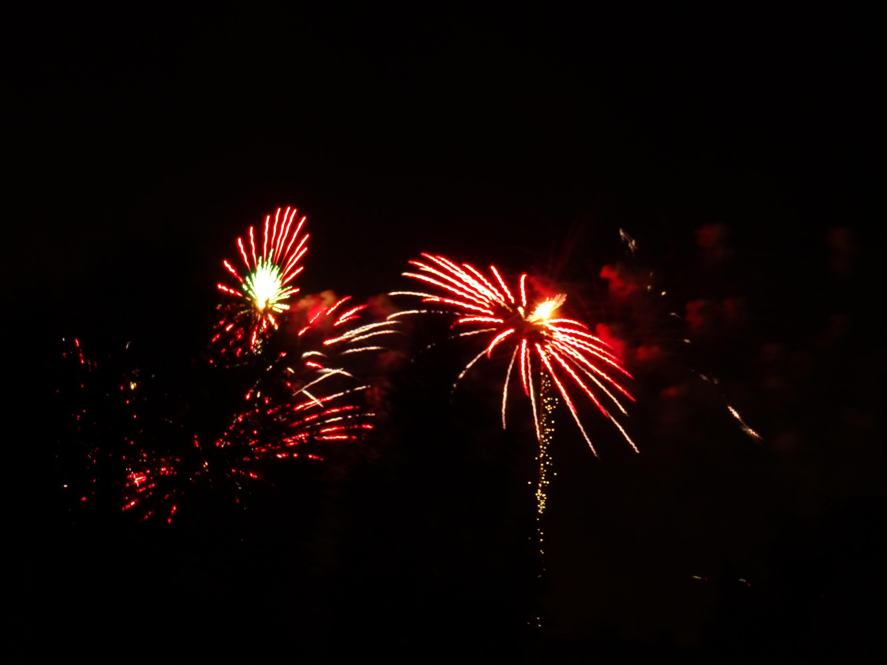2019-1270