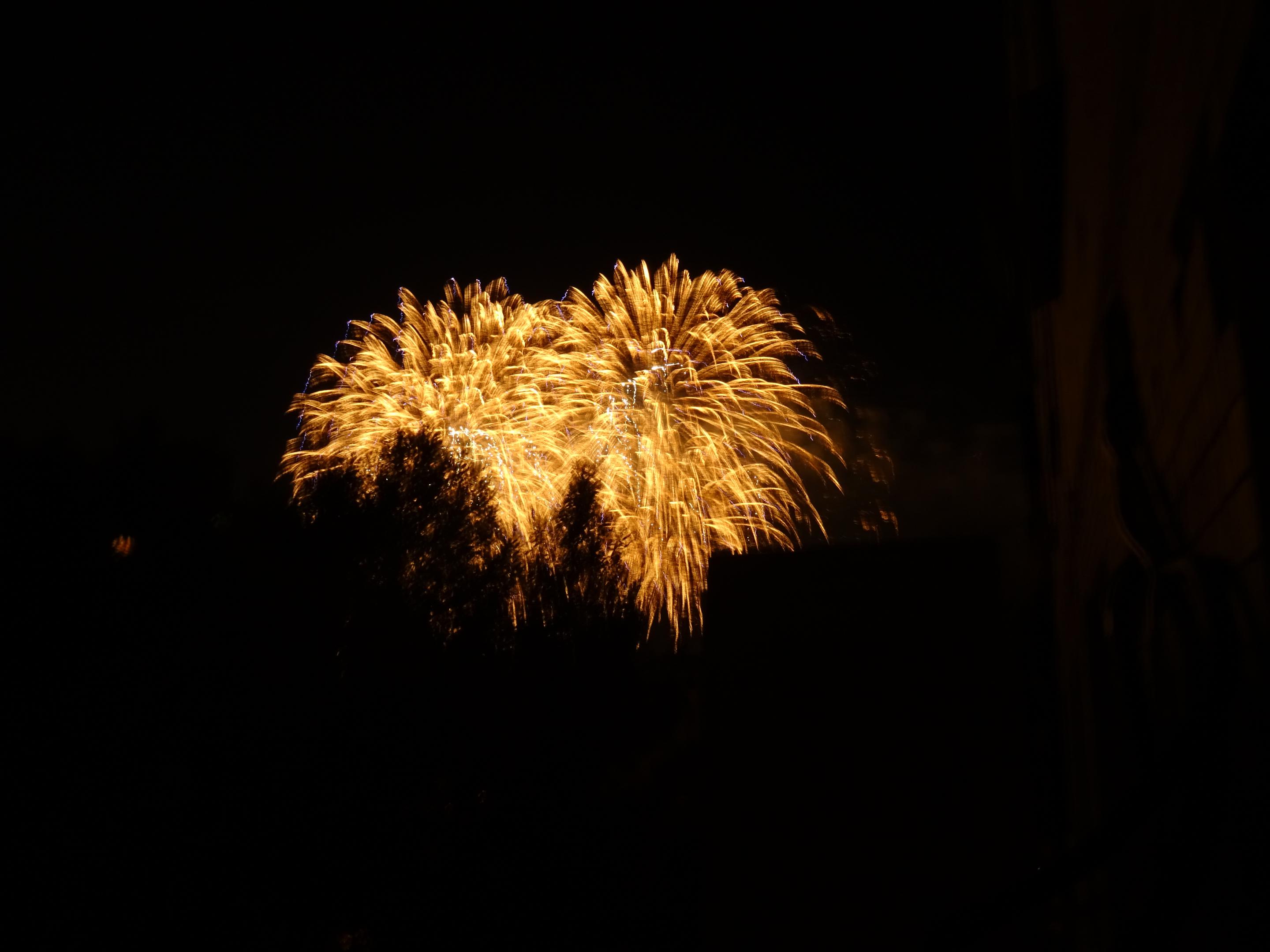2019-1271