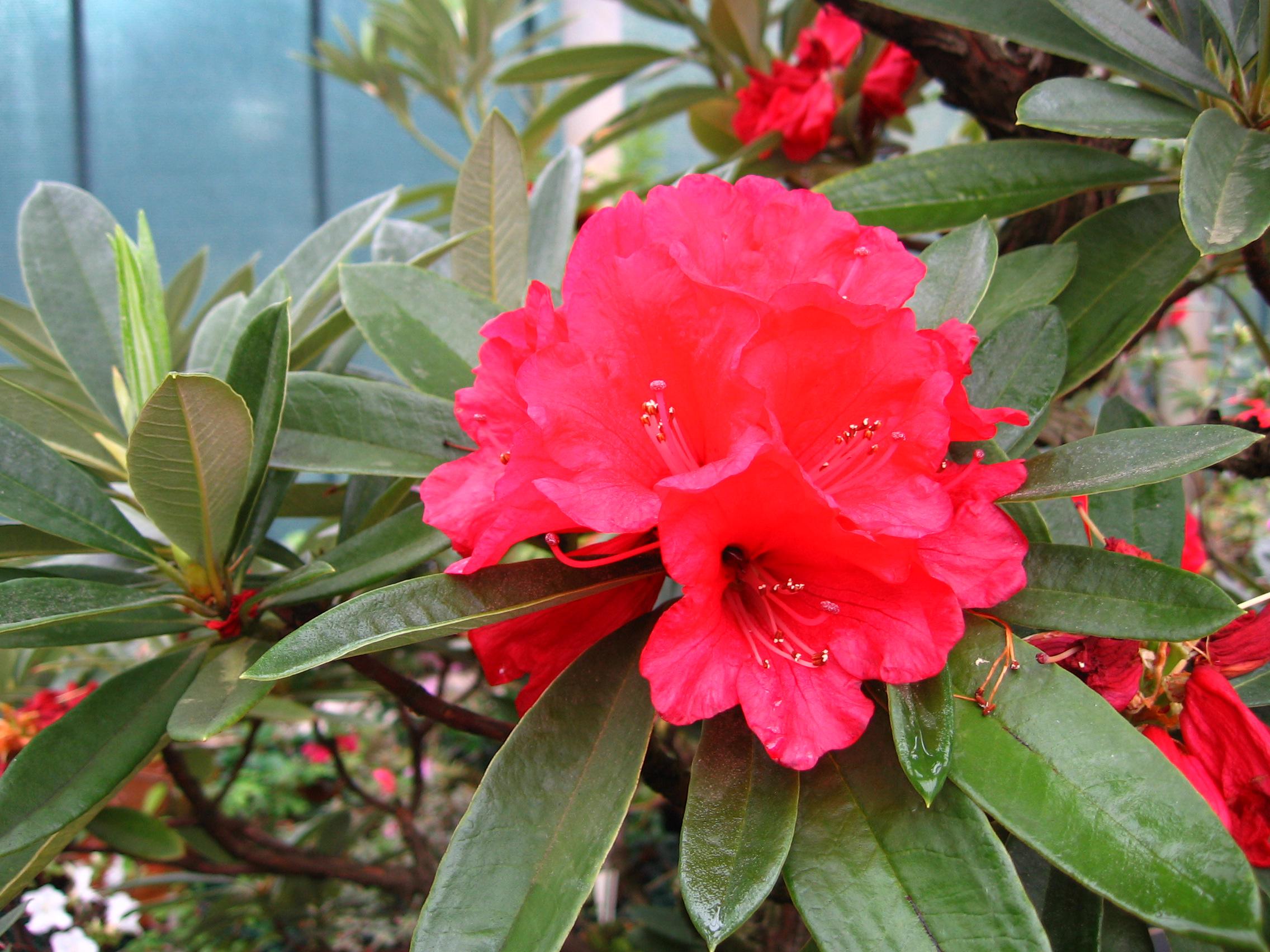 2009-0205