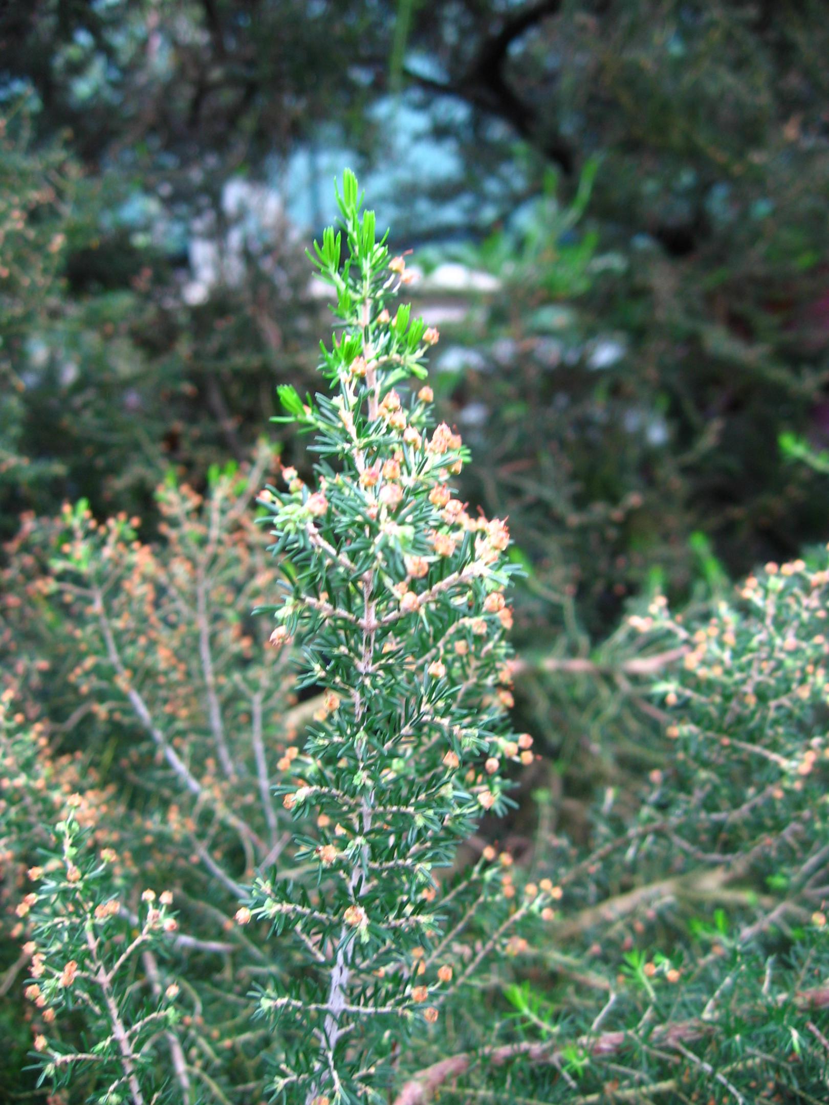 2009-0202