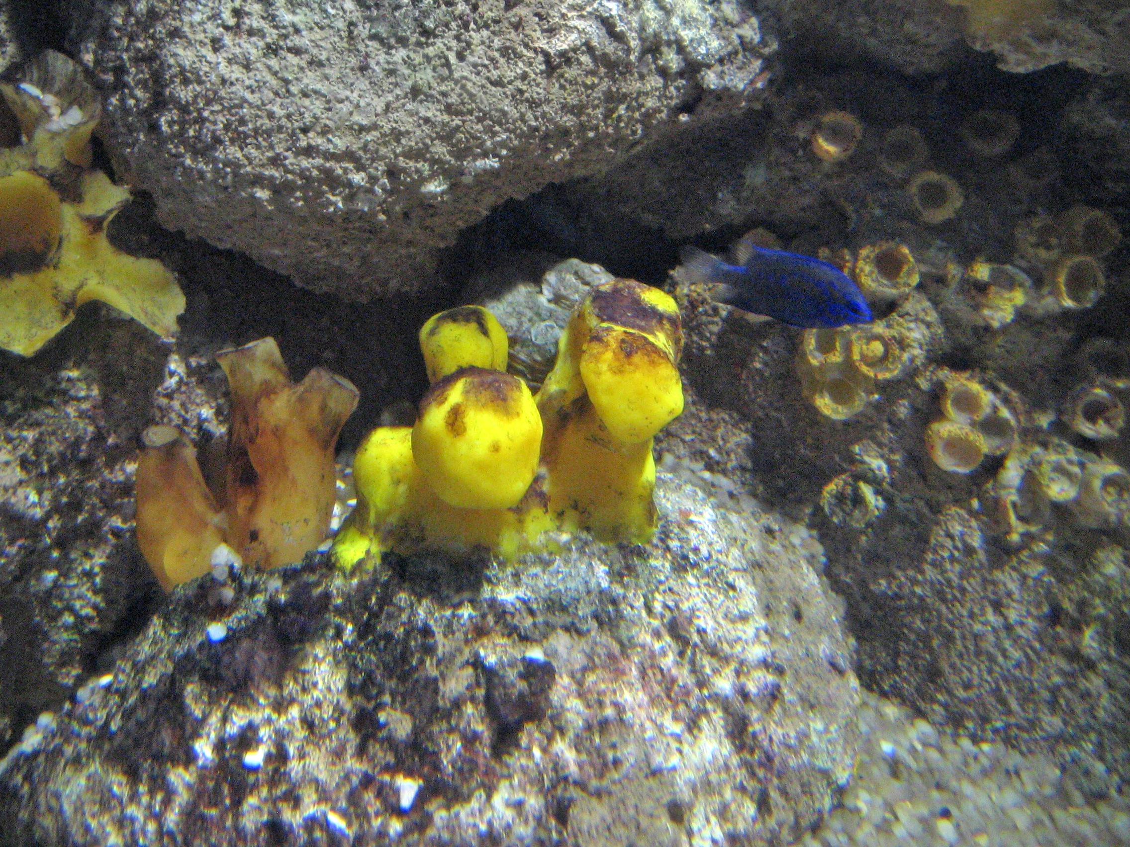 2009-0304