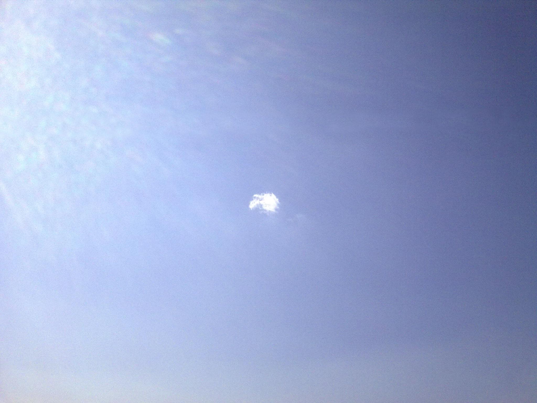 2009-0590