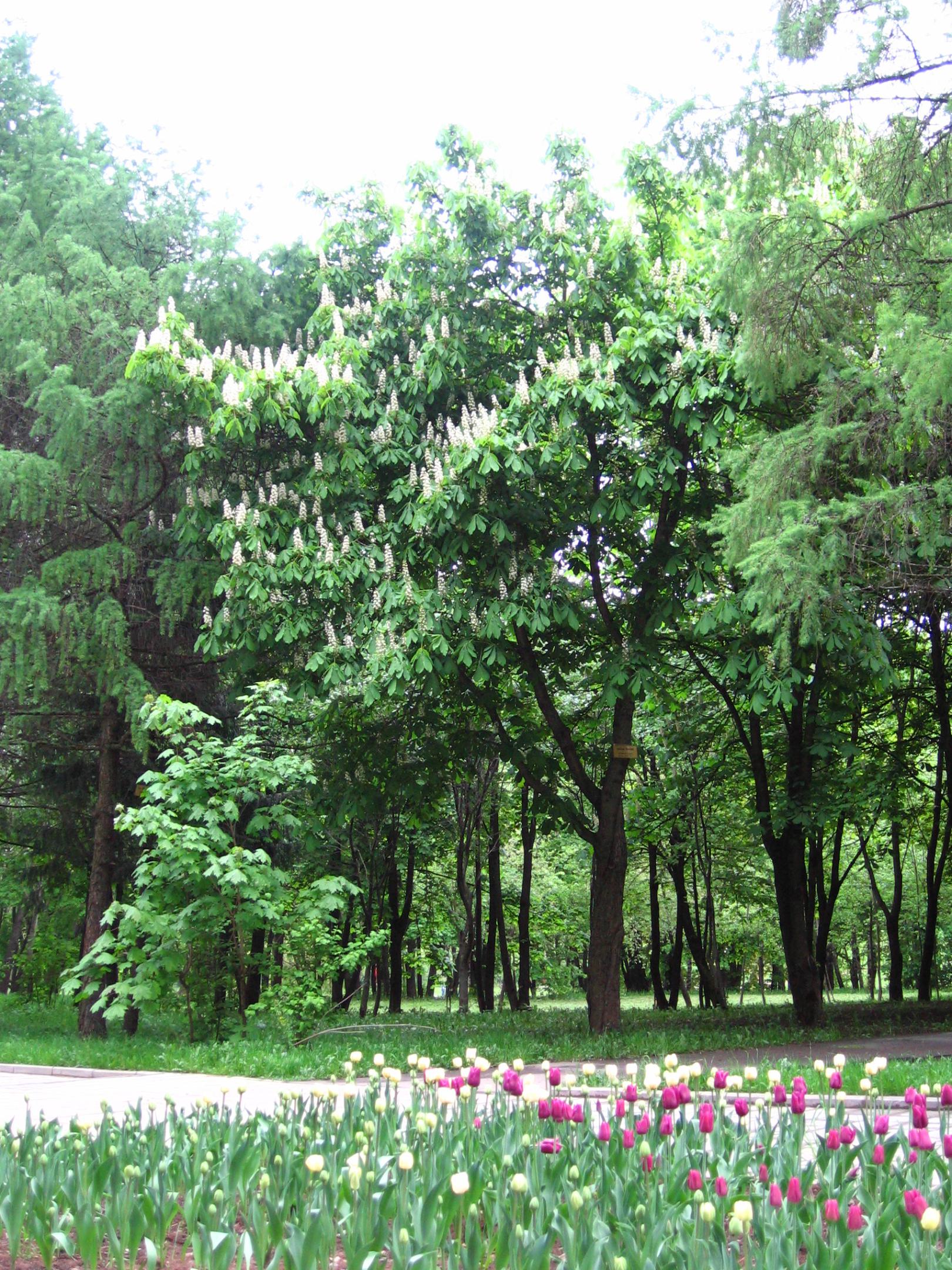 2009-0703