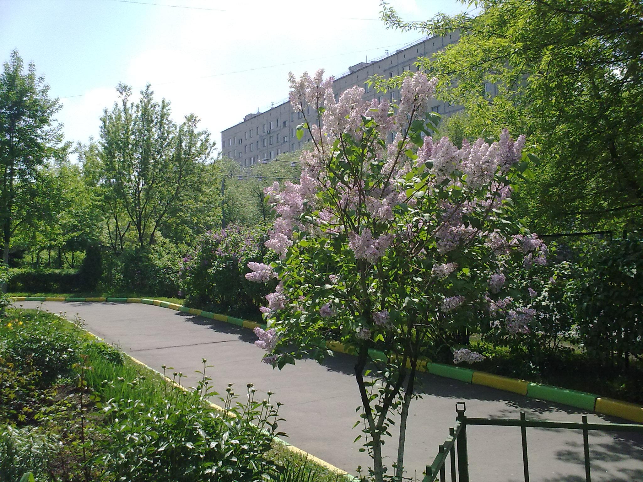 2010-0323