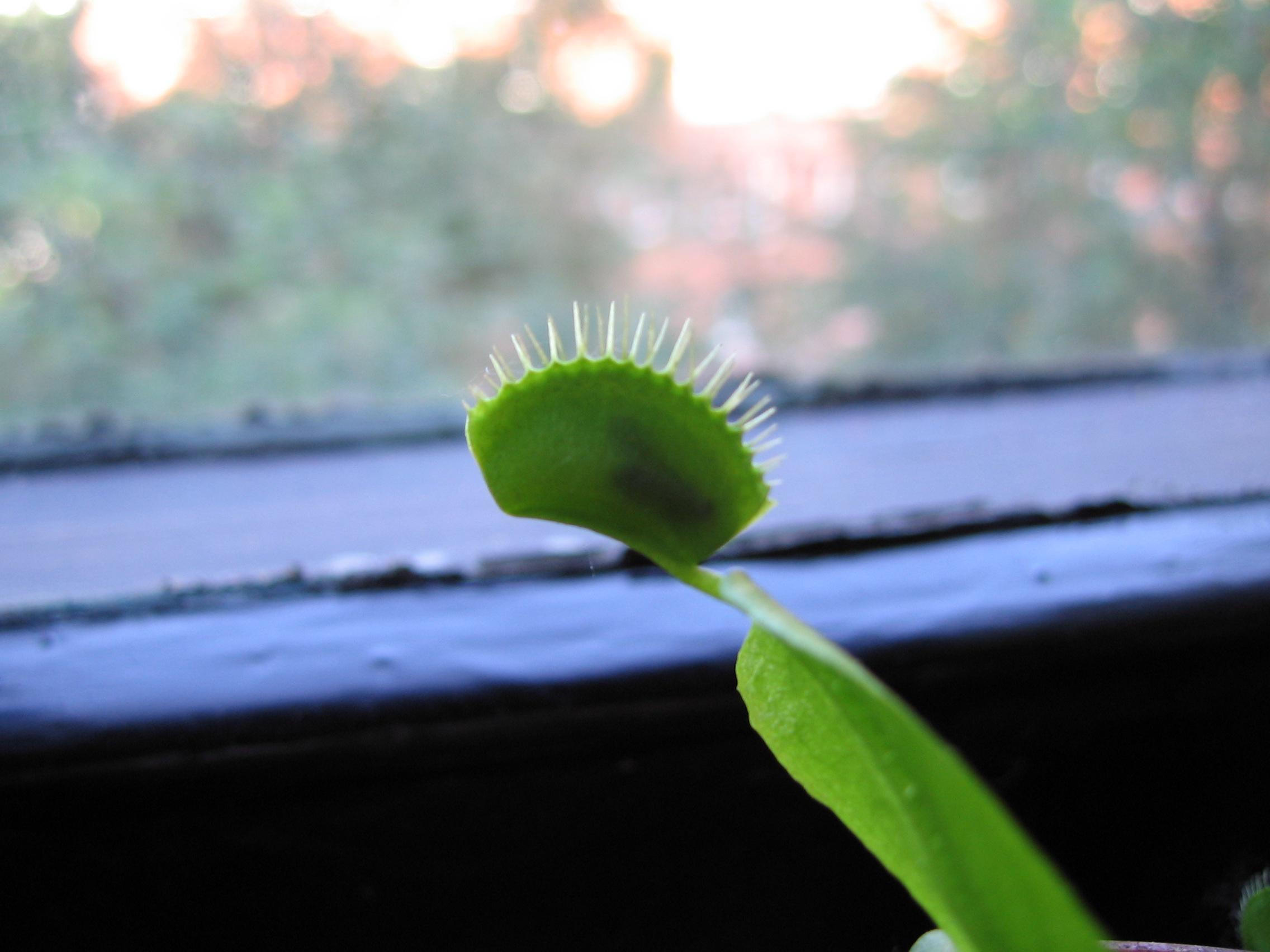 2010-0401
