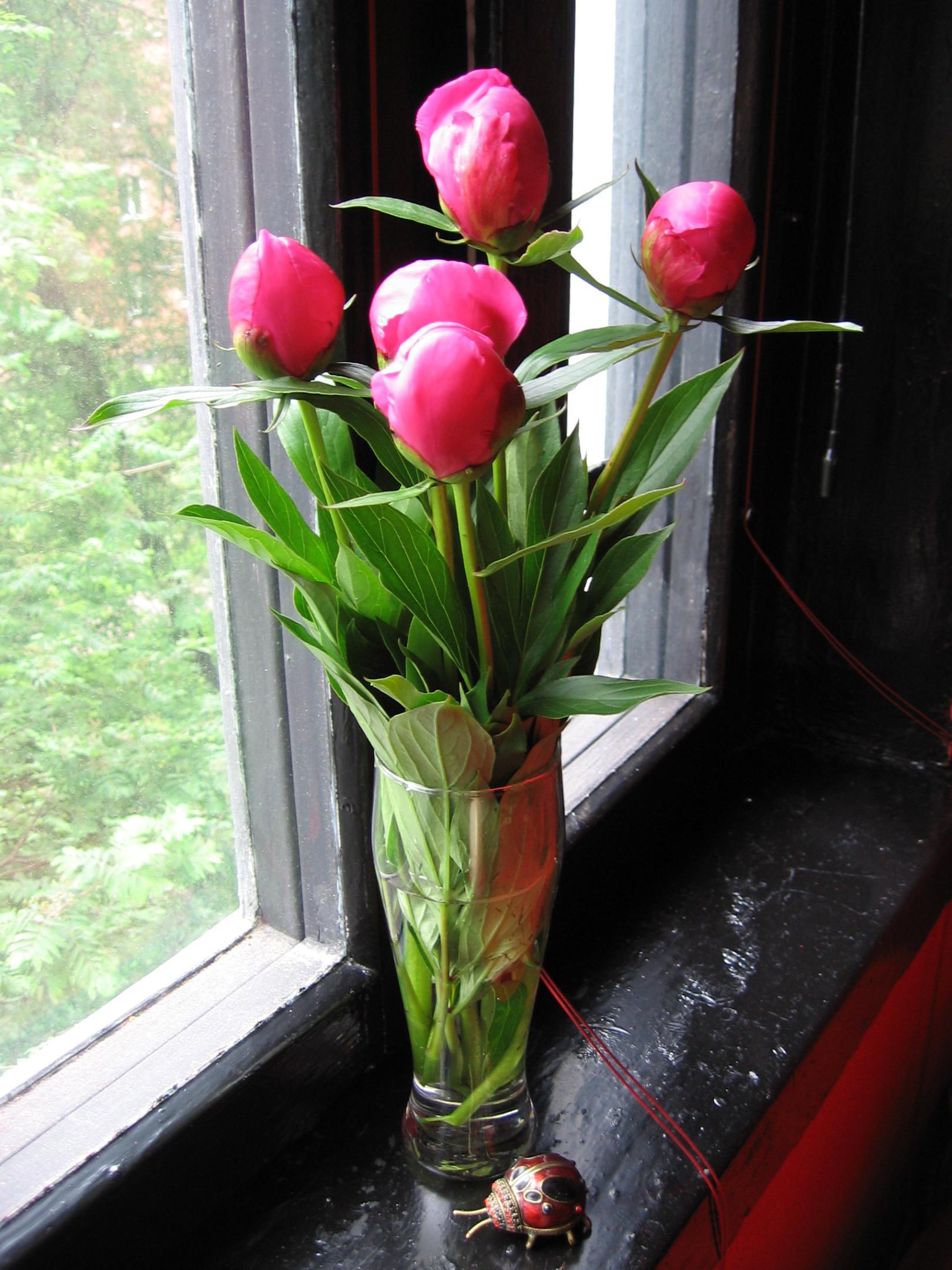 2010-0426