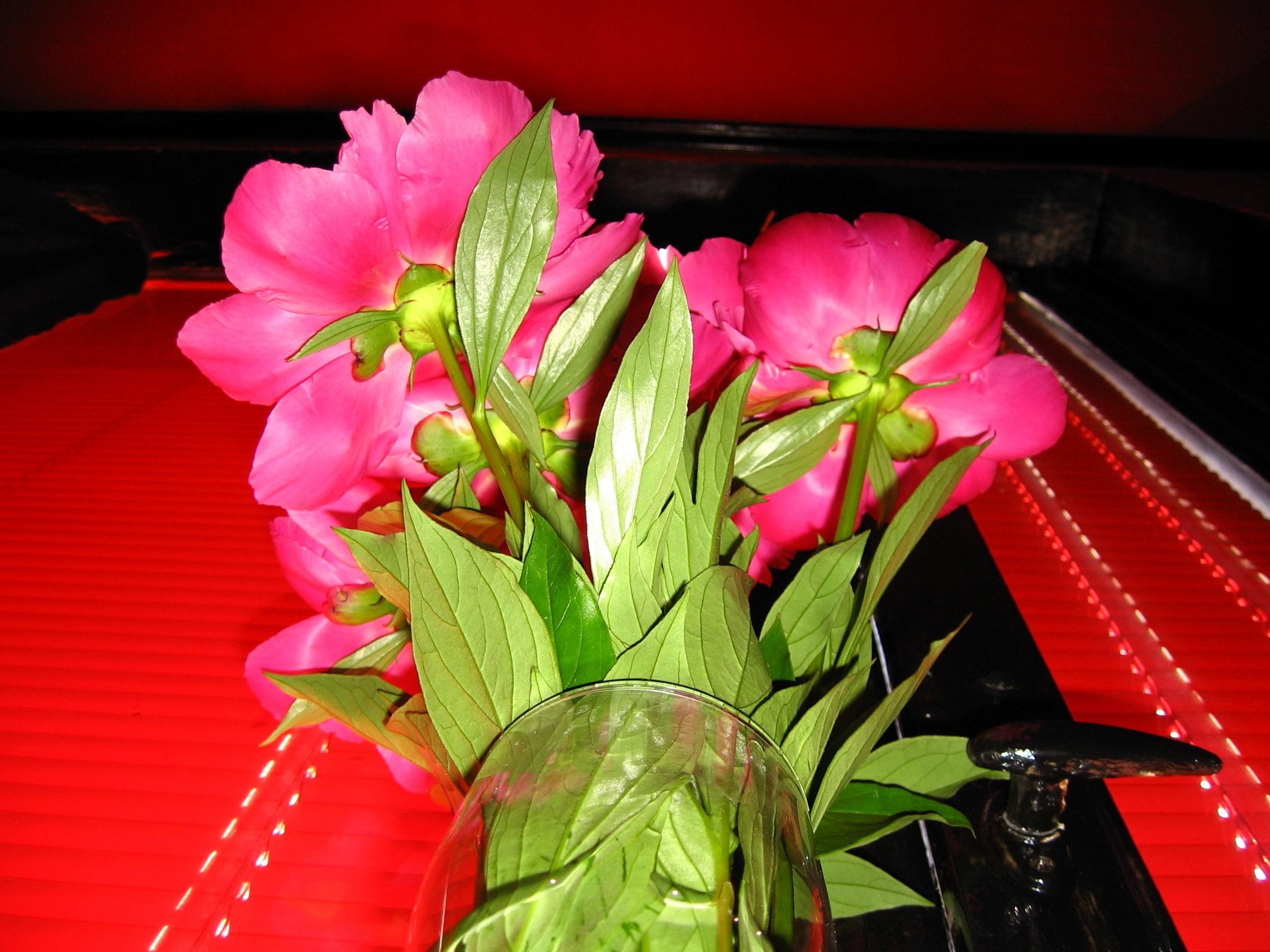 2010-0430
