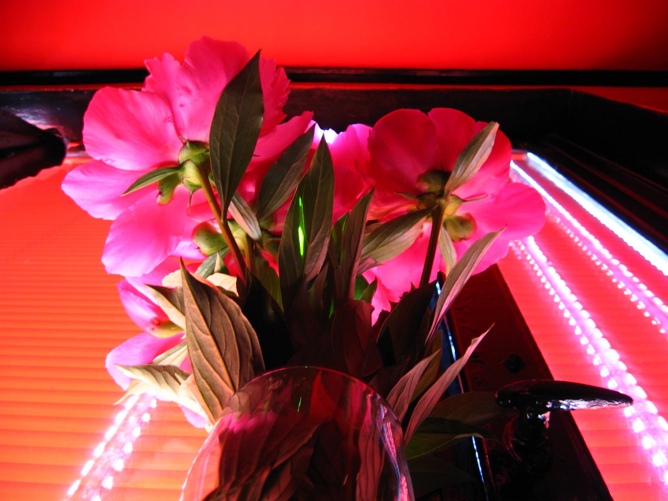 2010-0431