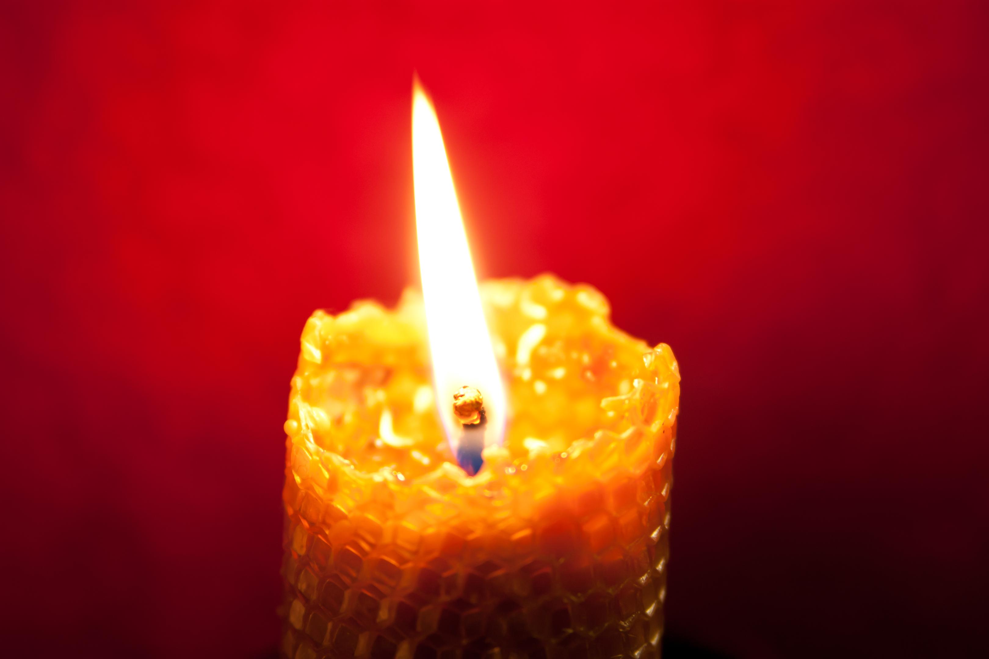 2010-1126