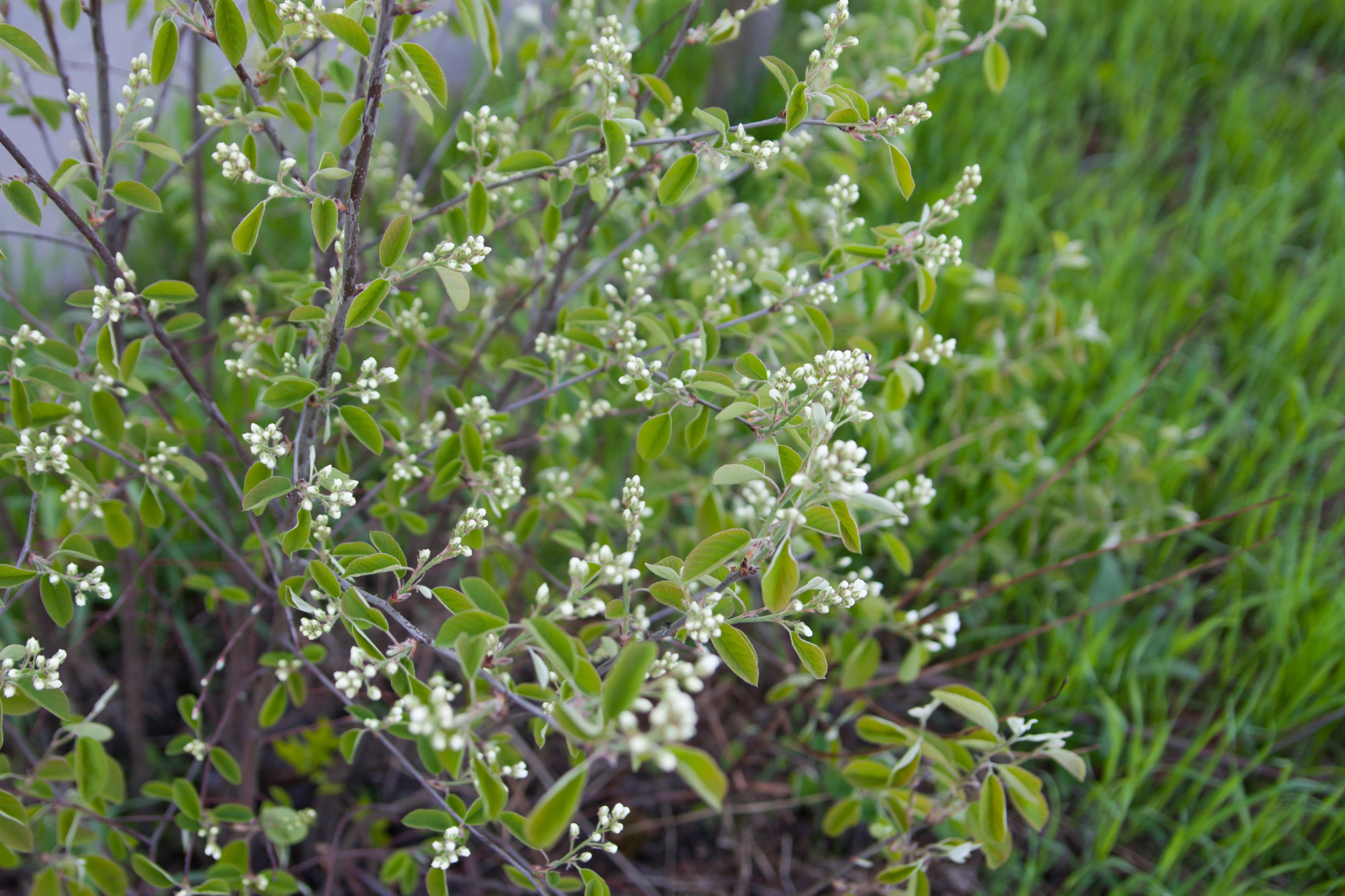 2011-316
