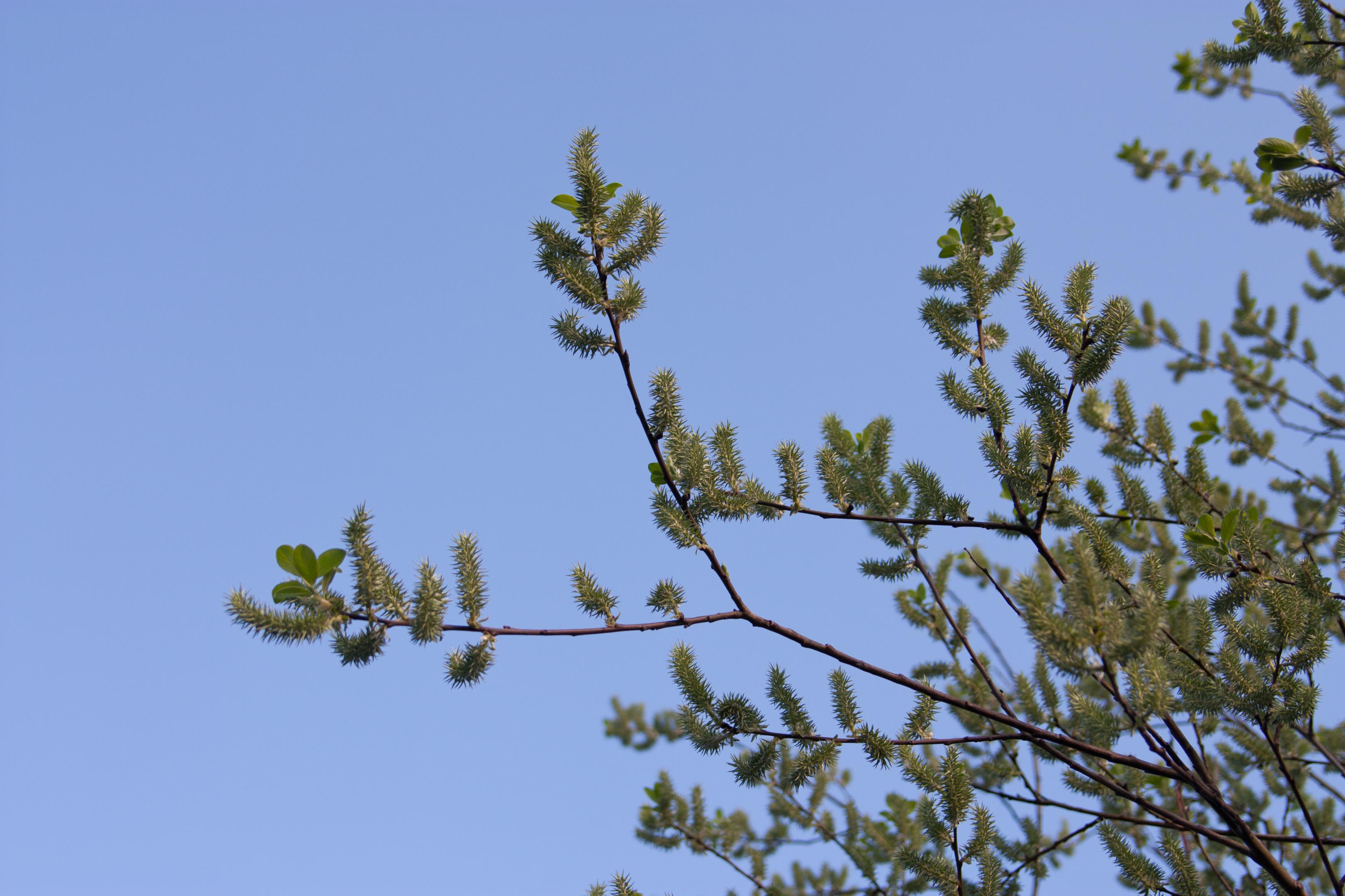 2011-321