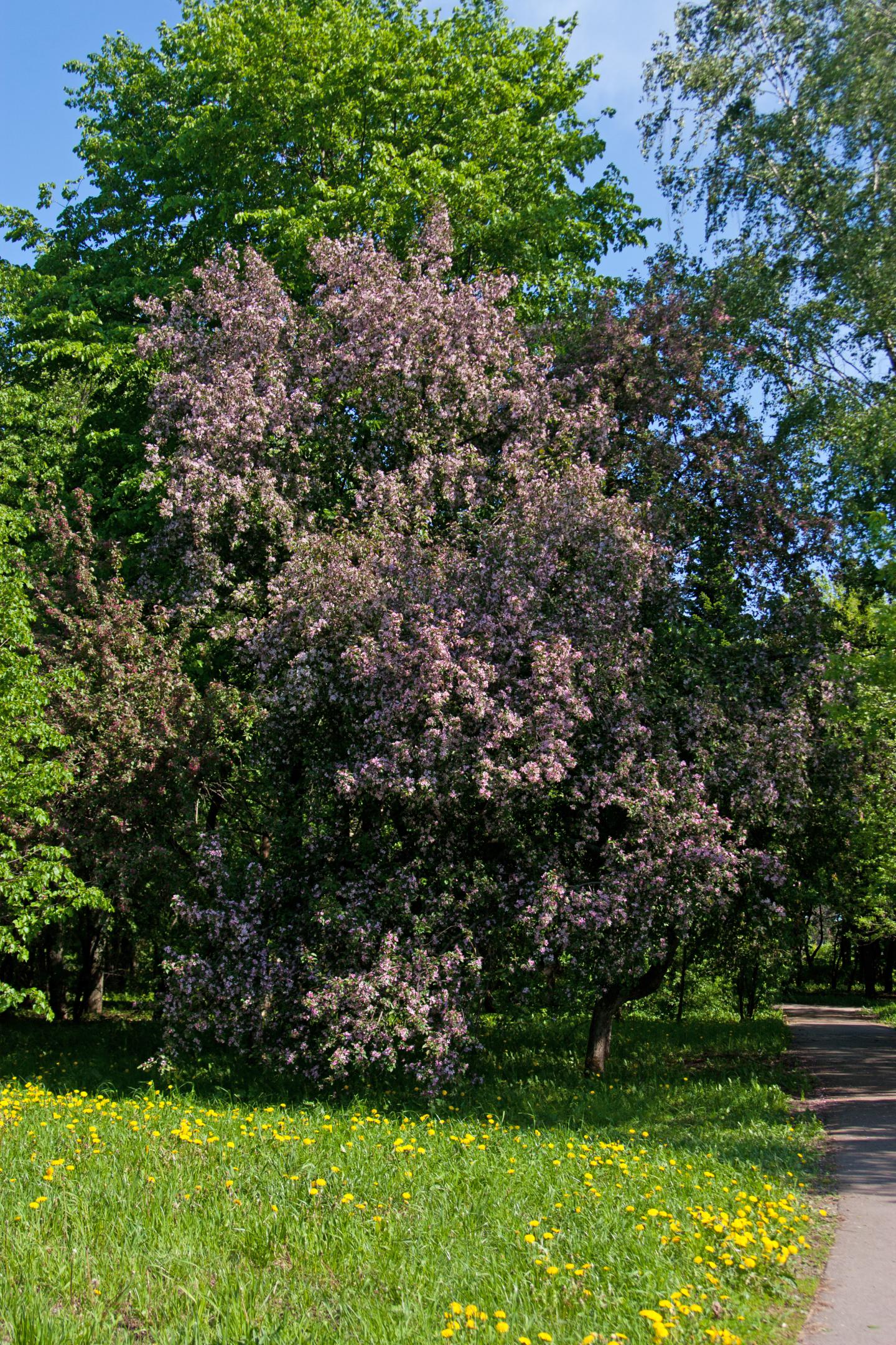 2011-356