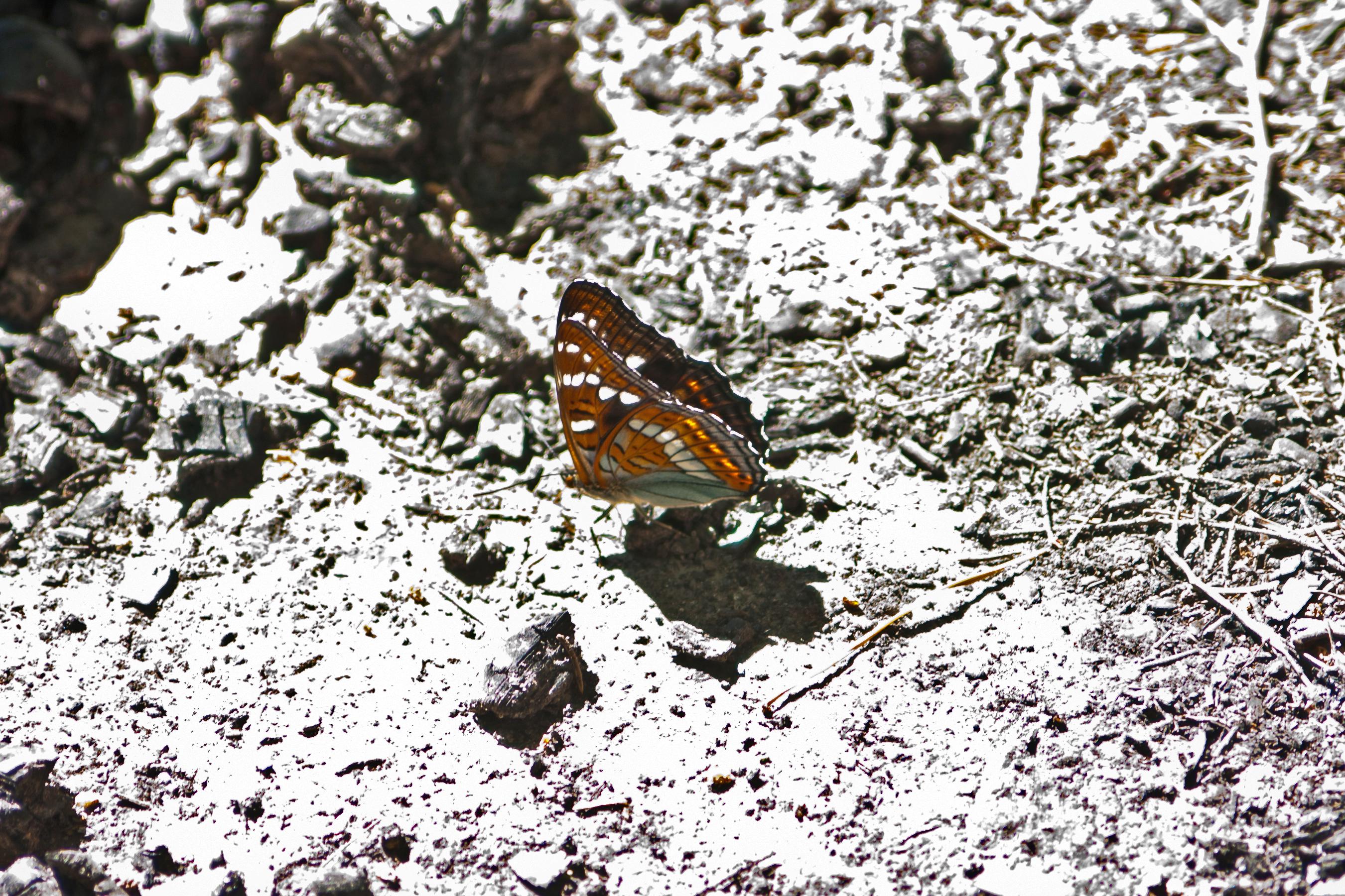 2011-430