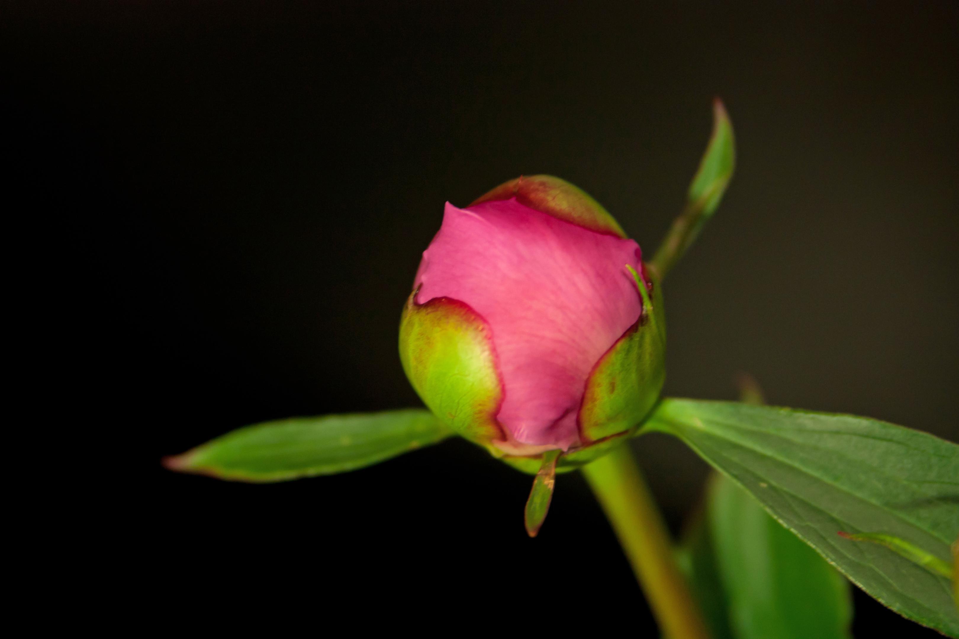 2012-349