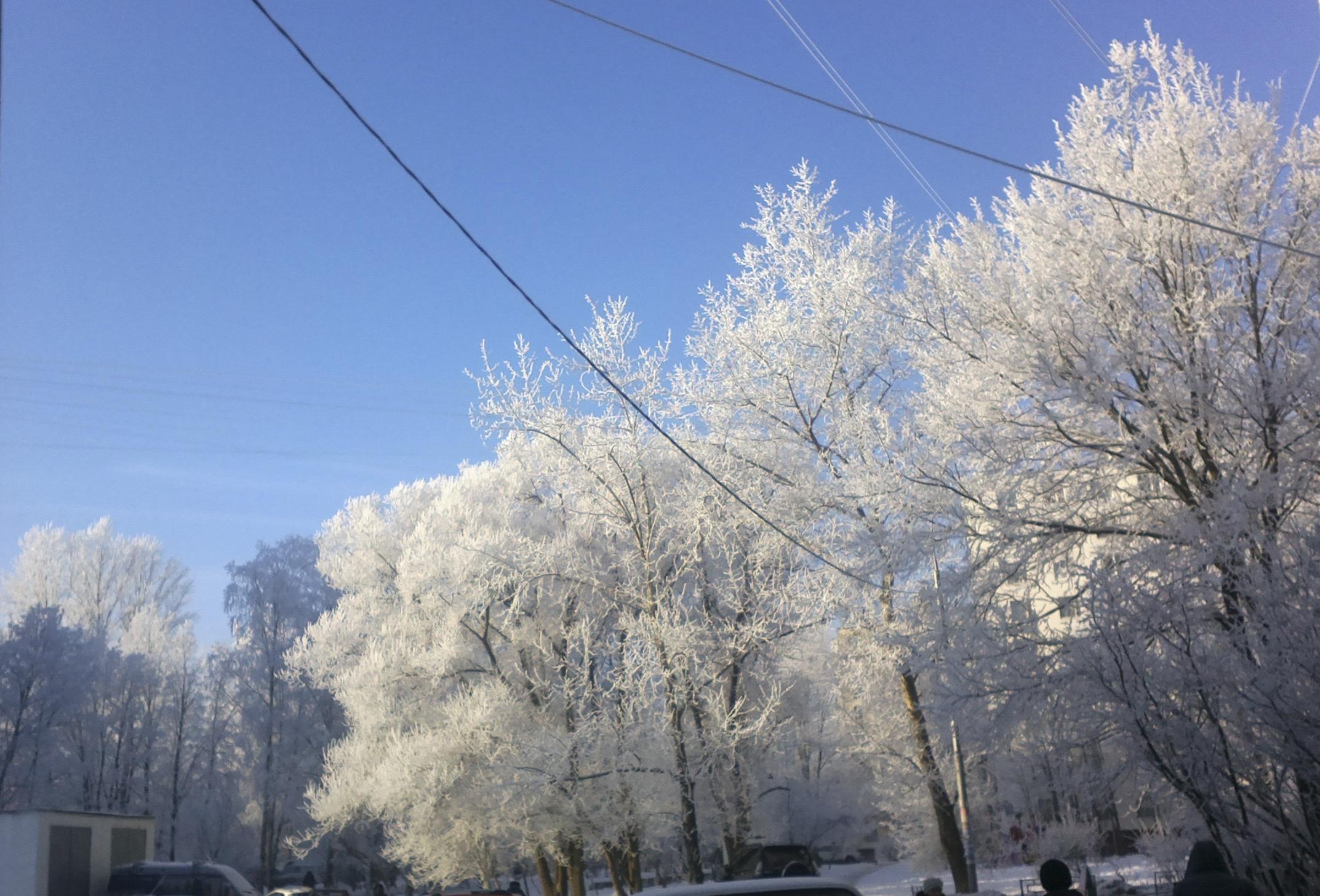 2015-0095