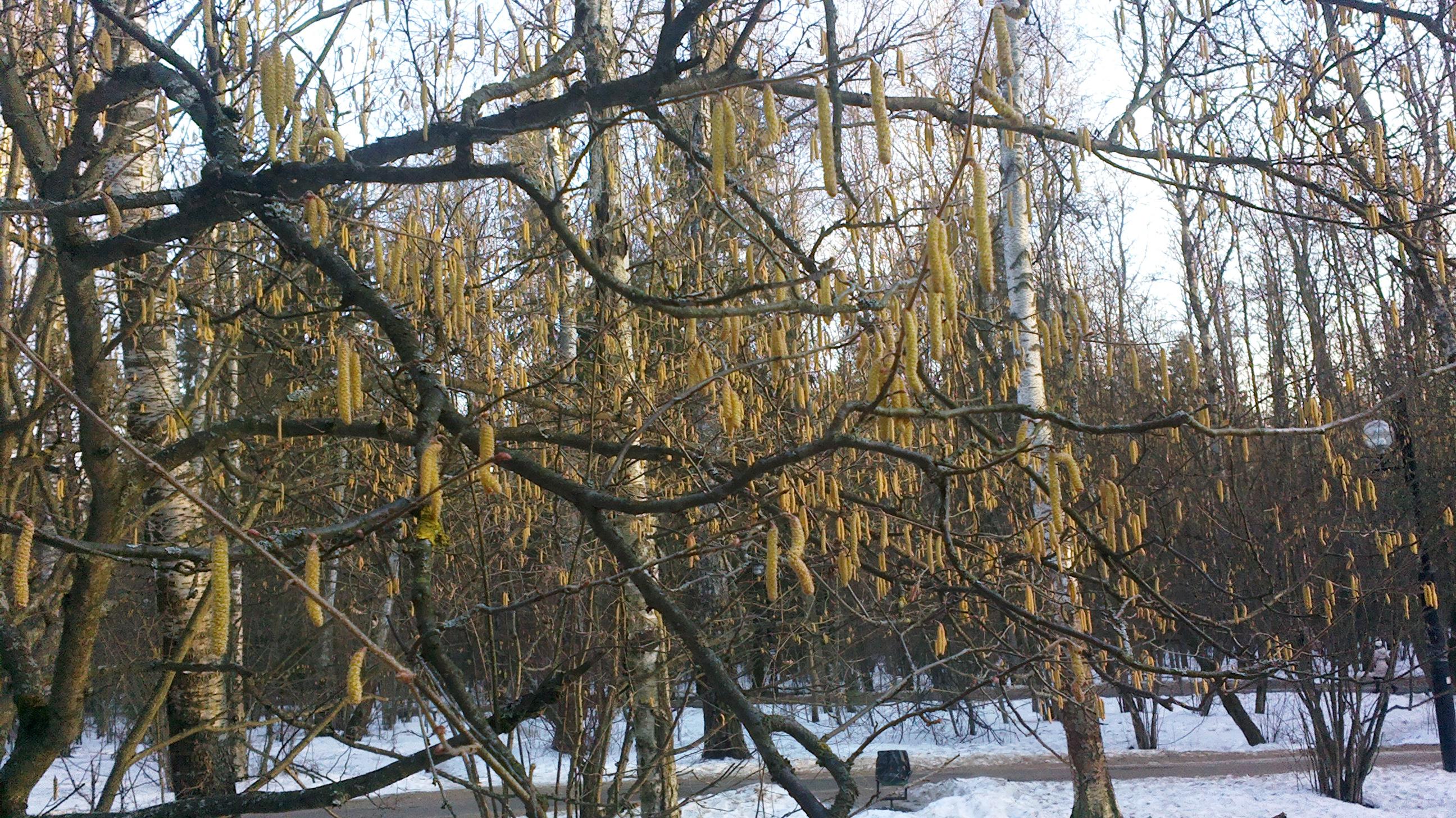 2015-0269