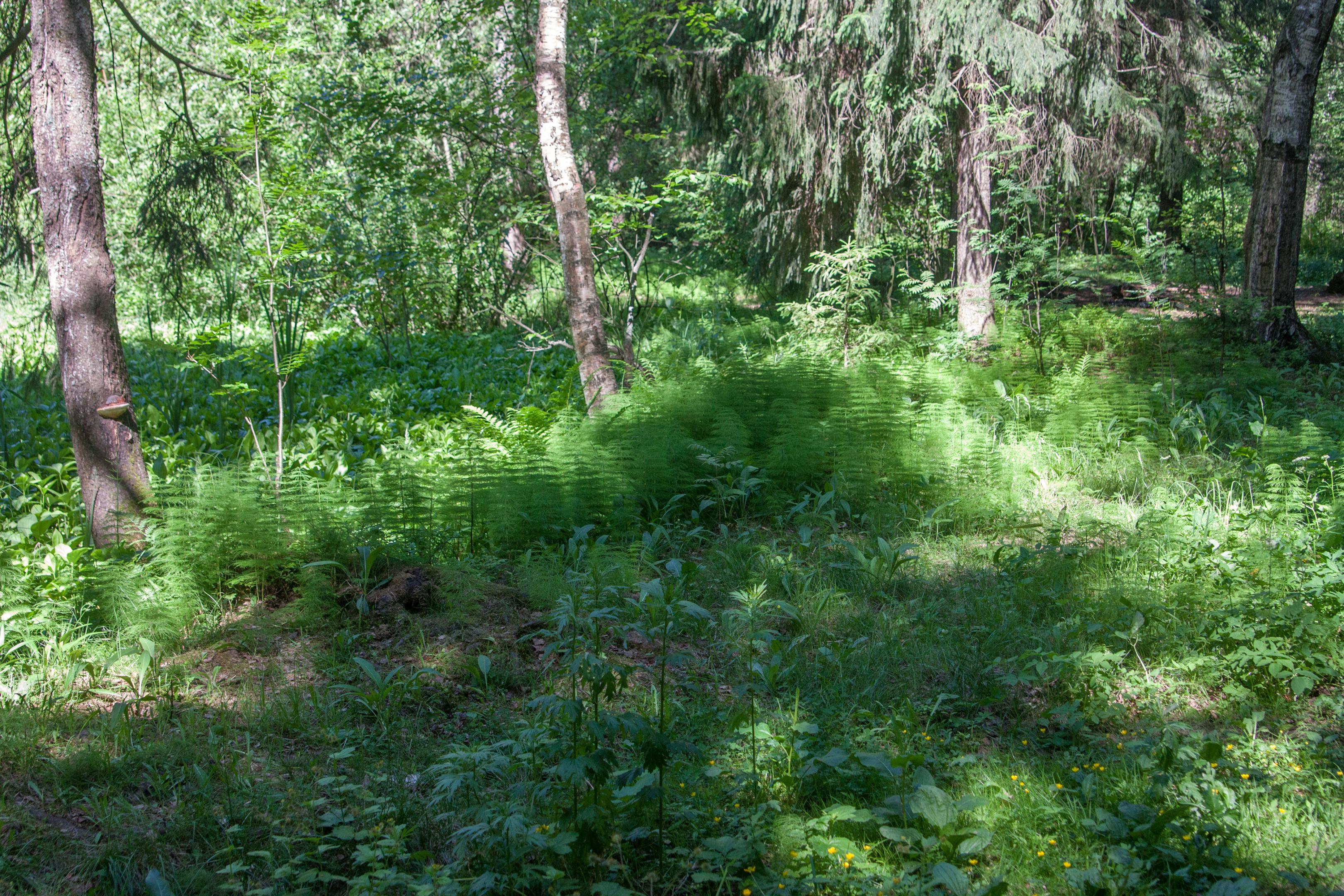 2015-0529